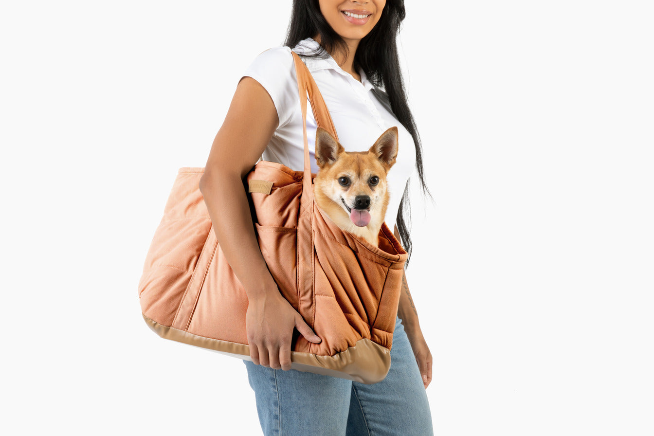 Plush Pup Carrier—Brown