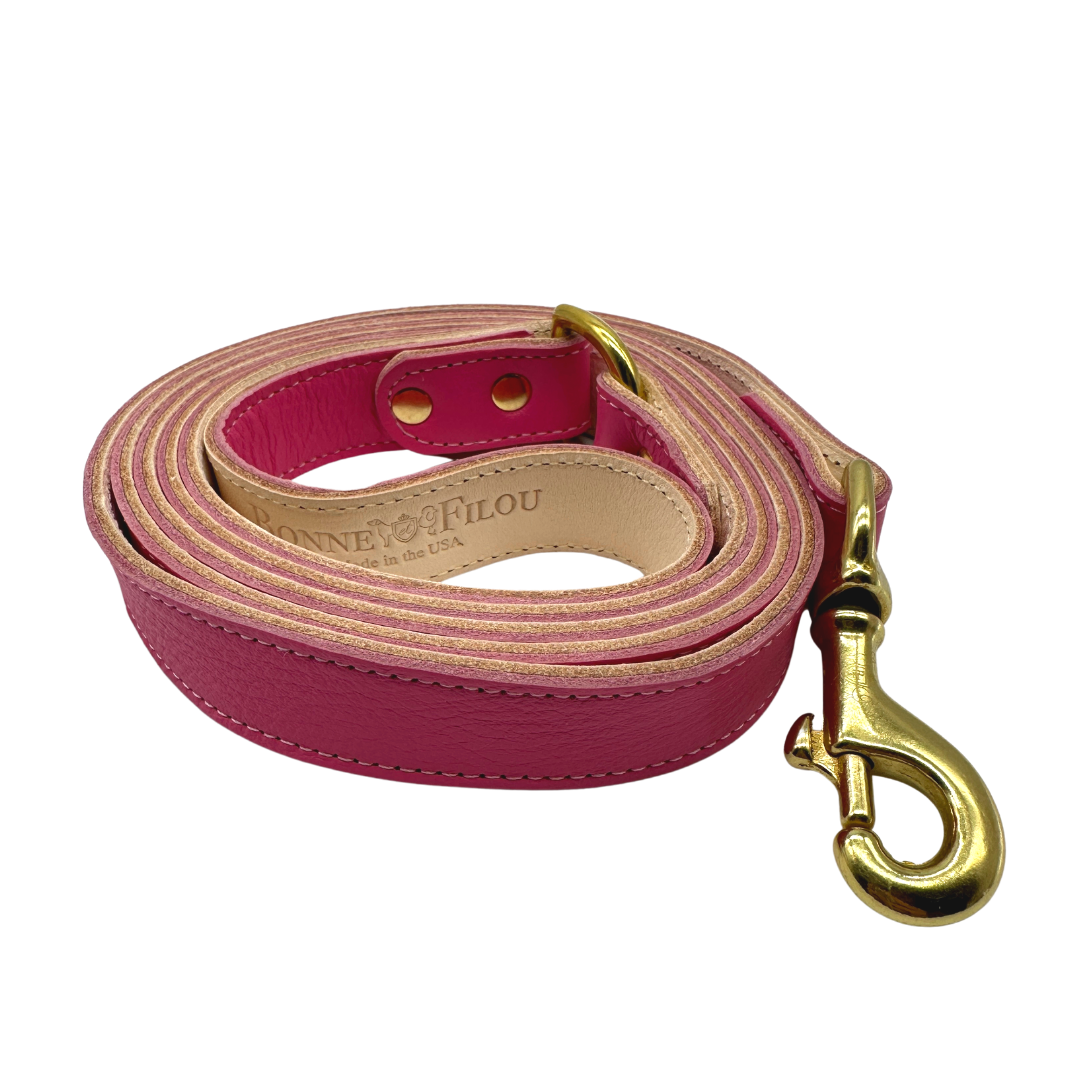 Plain Leather Dog Leashes - Bonne et Filou