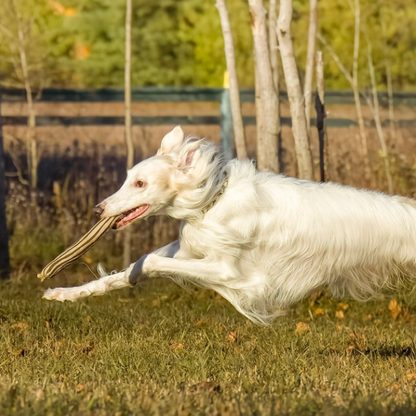 ECO-FETCHIN' STICK