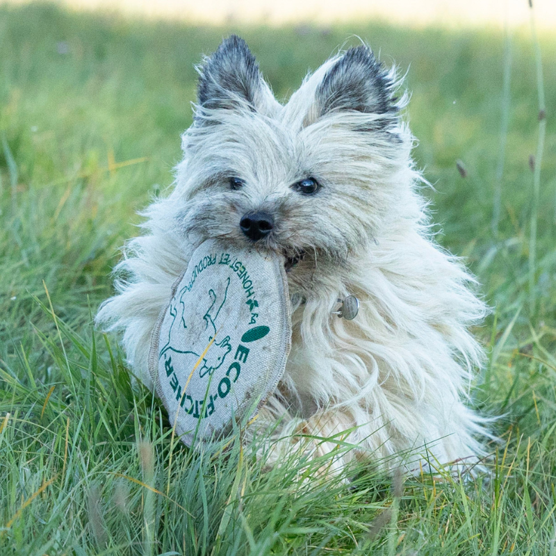 ECO-FETCHER