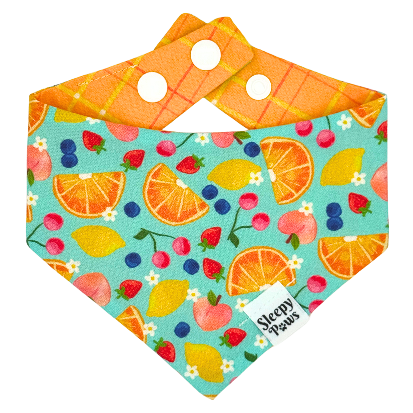 Juicy Fruits Pet Bandana