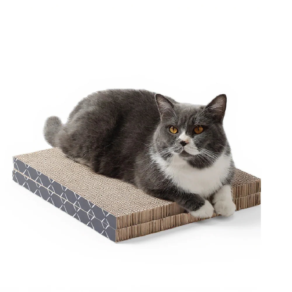 Scratch Pad Refills for Hide & Scratch Box (or use on their own)(Case of 14)