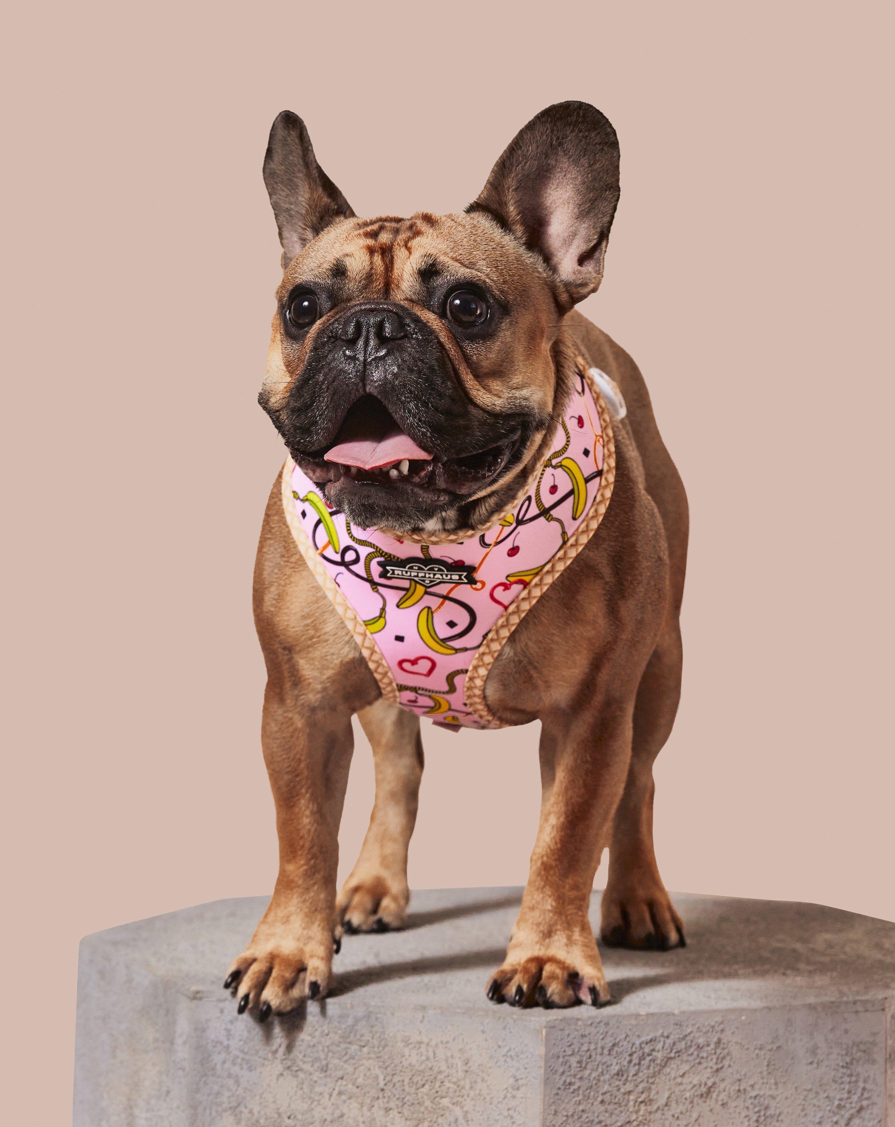 Sprinkle Me Pink Reversible Harness