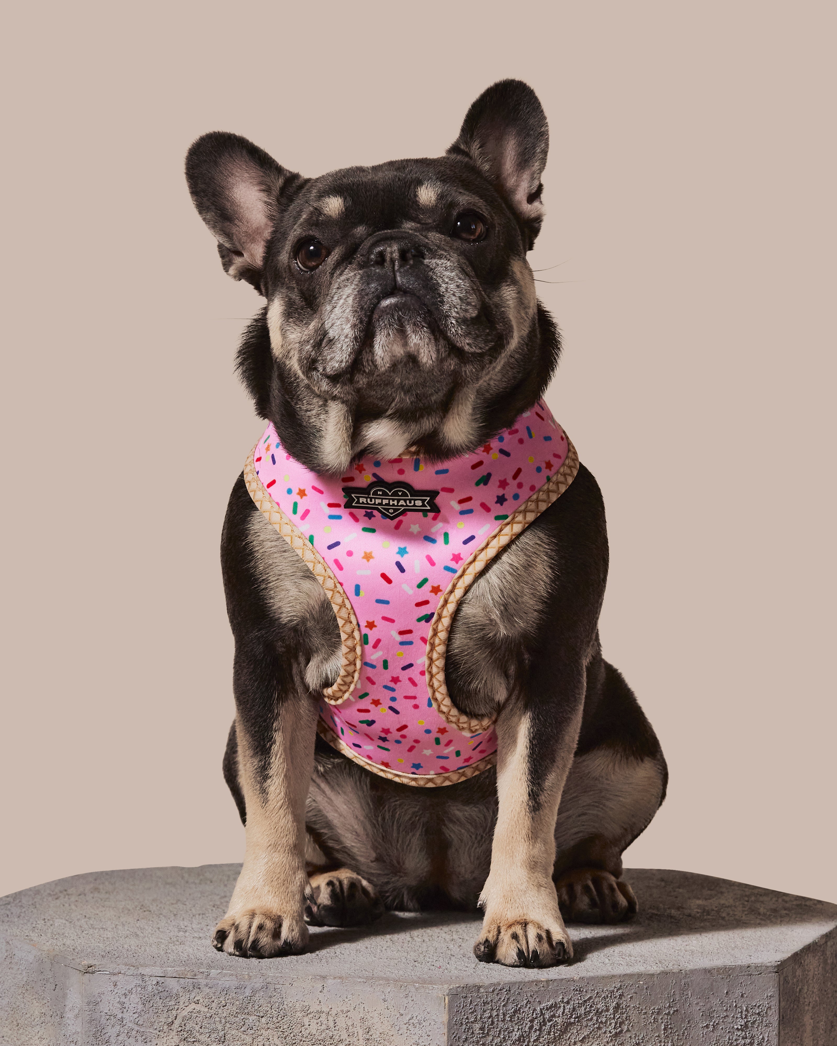 Sprinkle Me Pink Reversible Harness