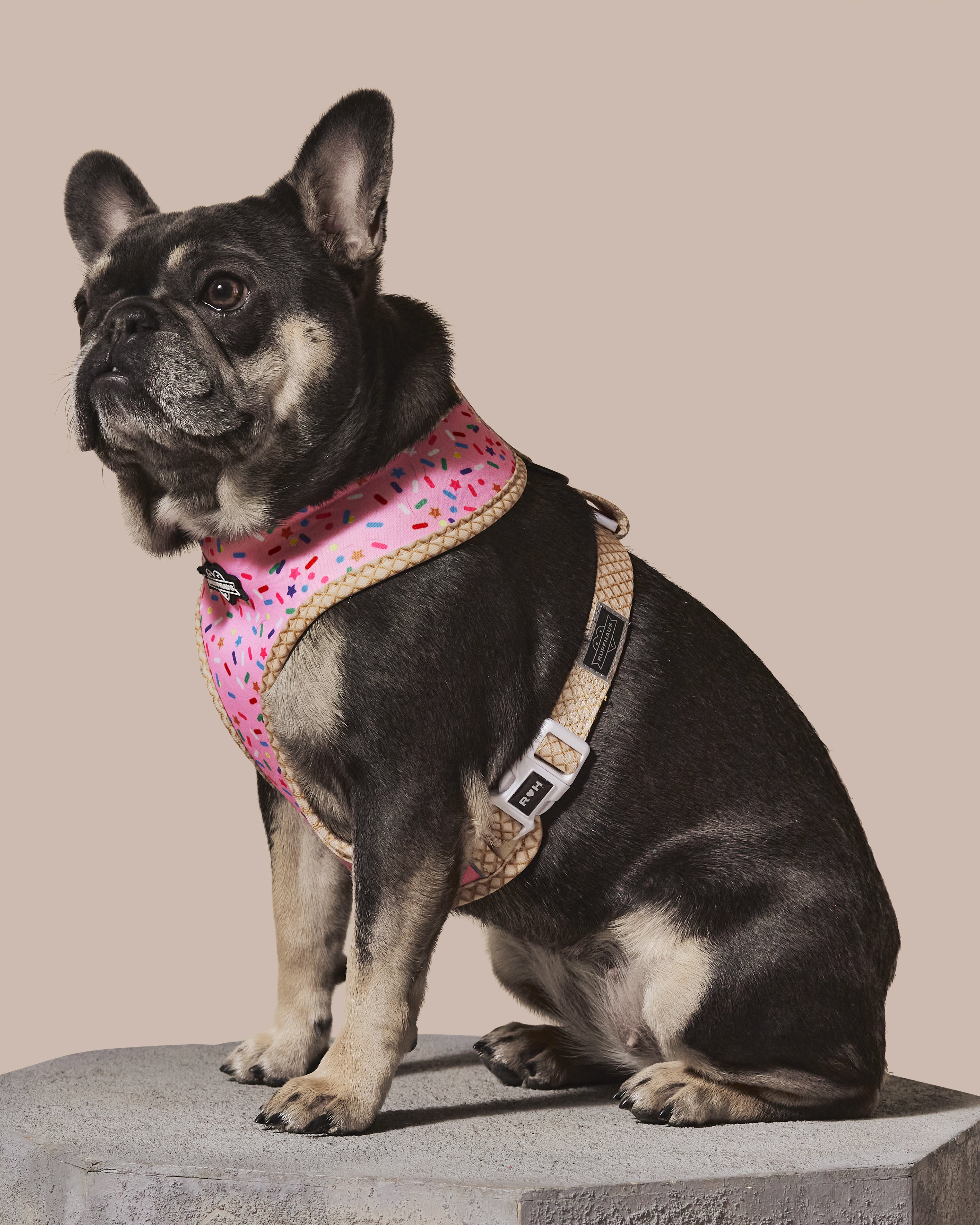 Sprinkle Me Pink Reversible Harness