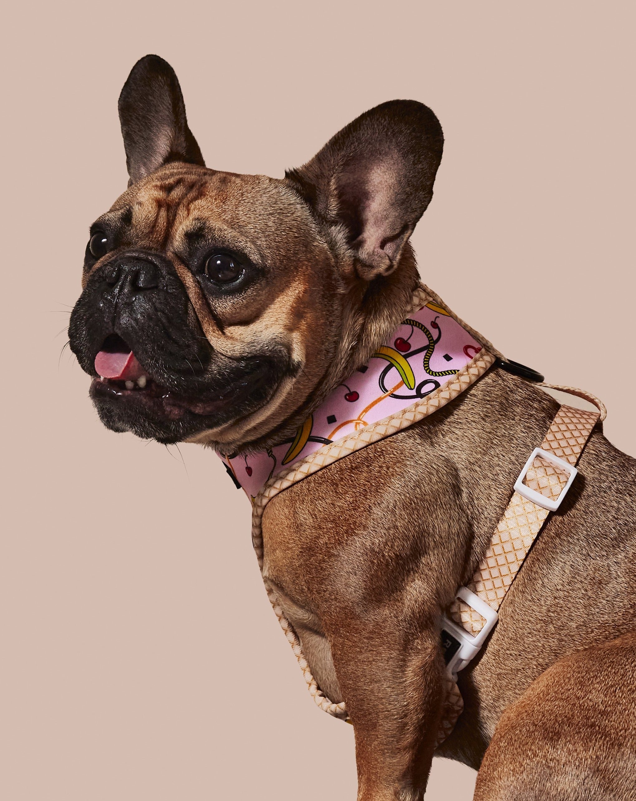 Sprinkle Me Pink Reversible Harness