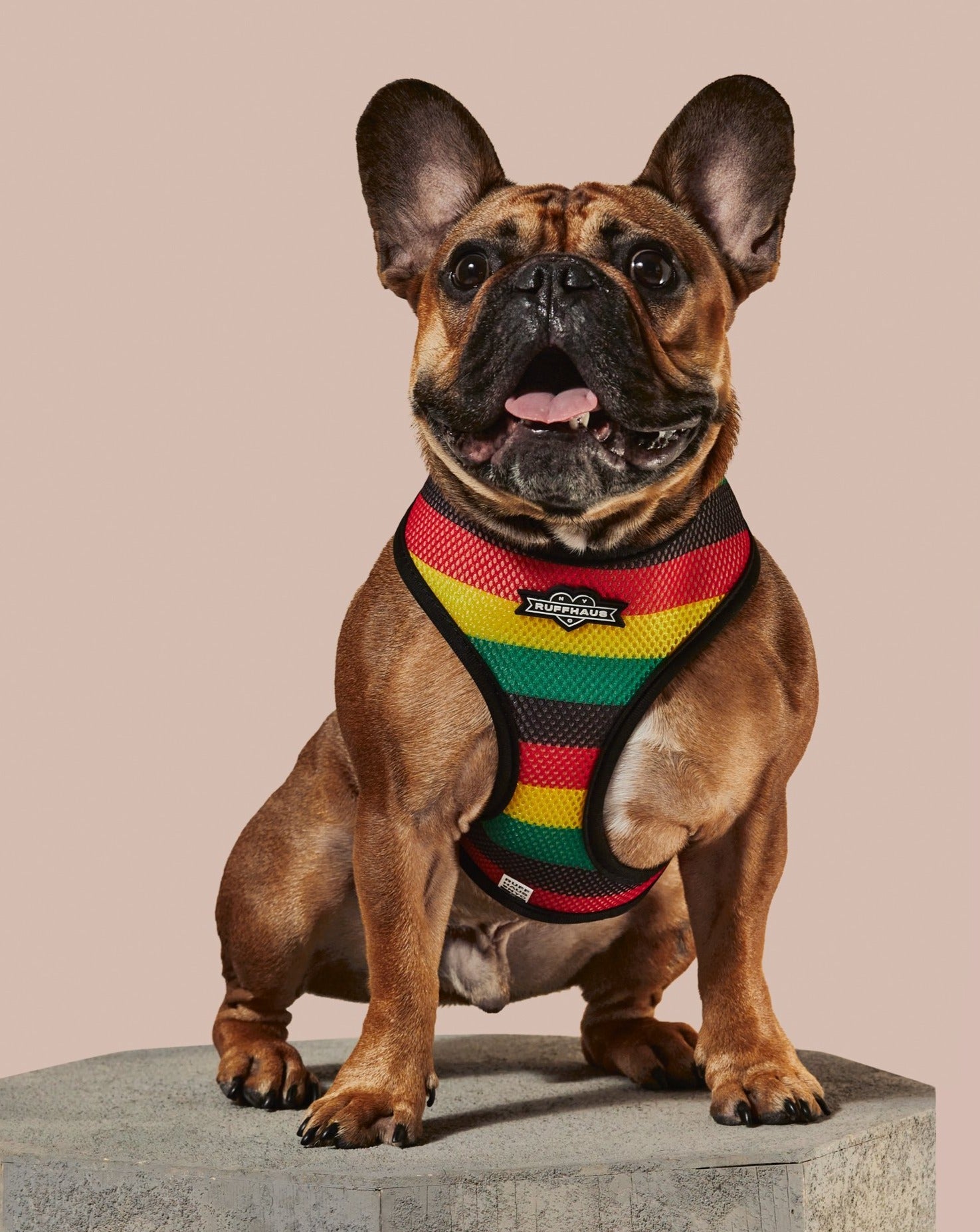 Bless Up Reversible Harness