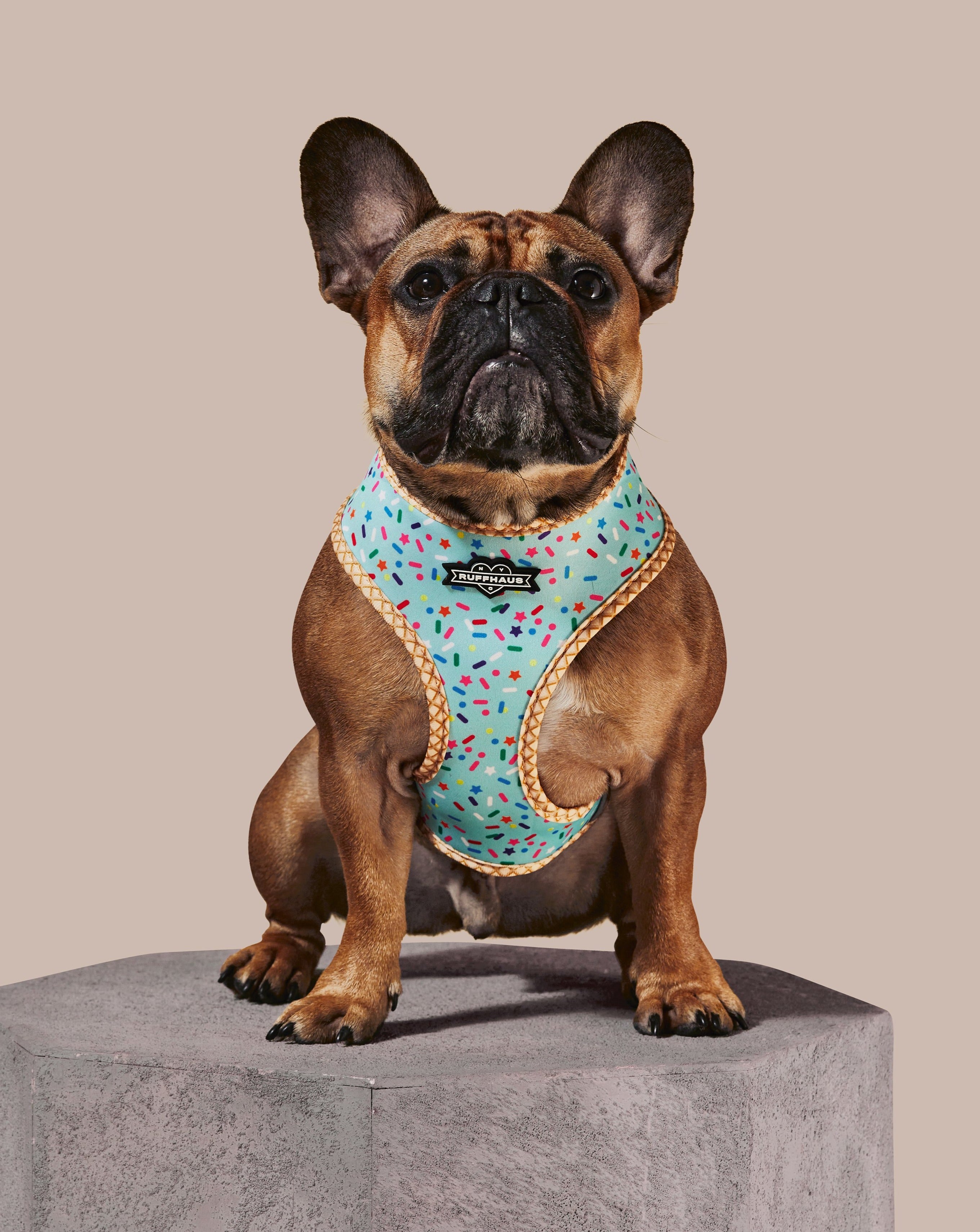 Sprinkle Me Blue Reversible Harness