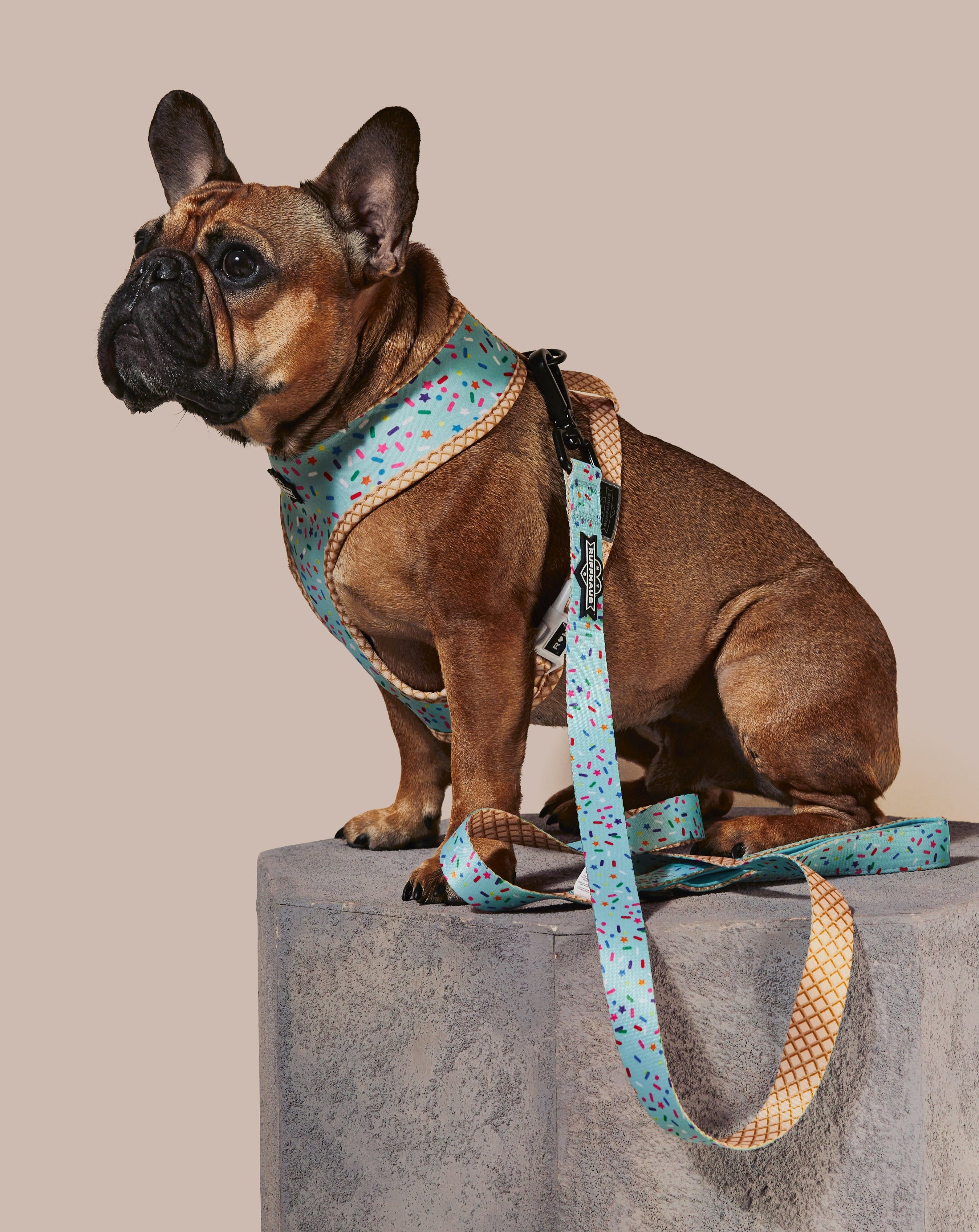 Sprinkle Me Blue Reversible Harness