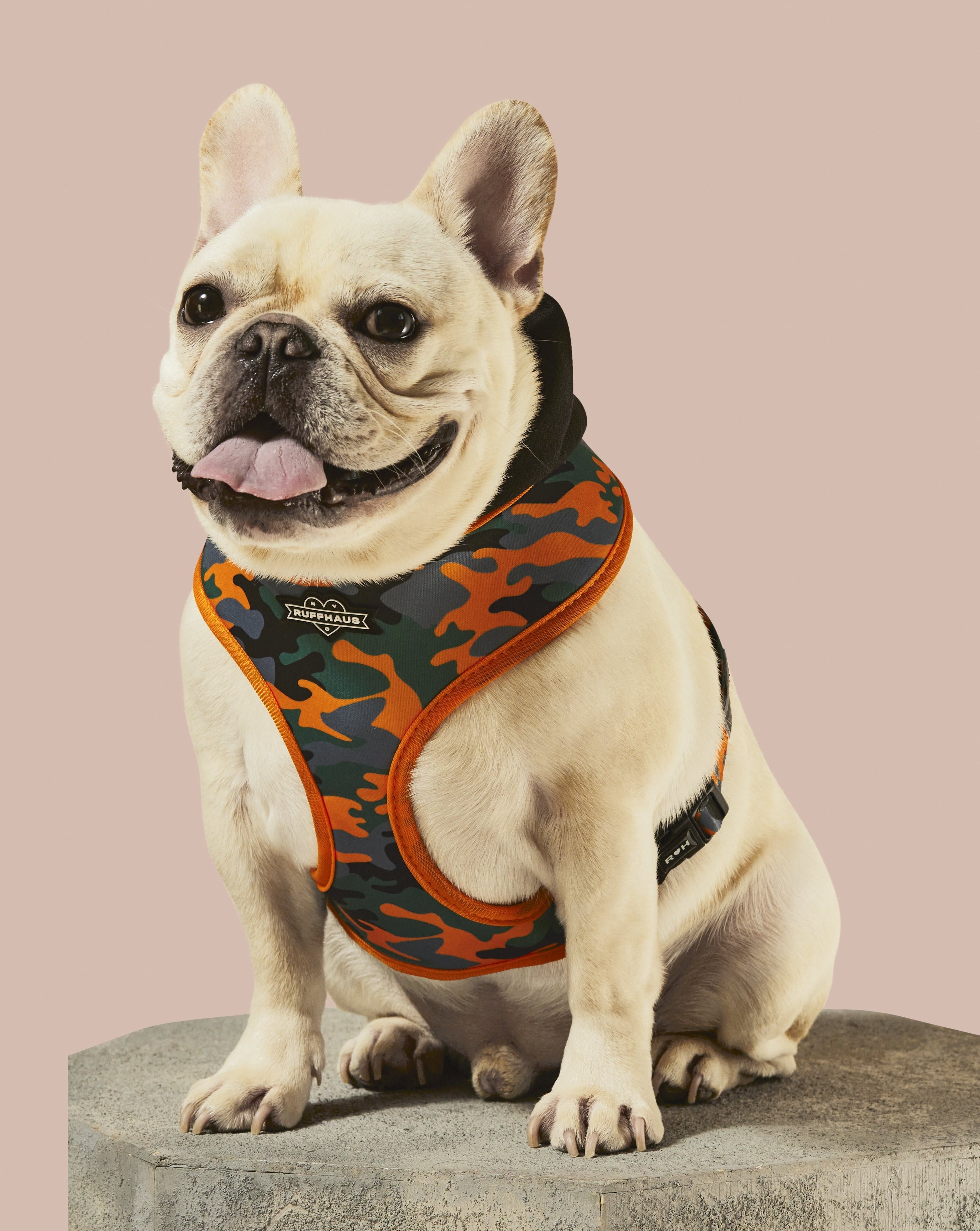 Camo QT Orange Hoodie Harness