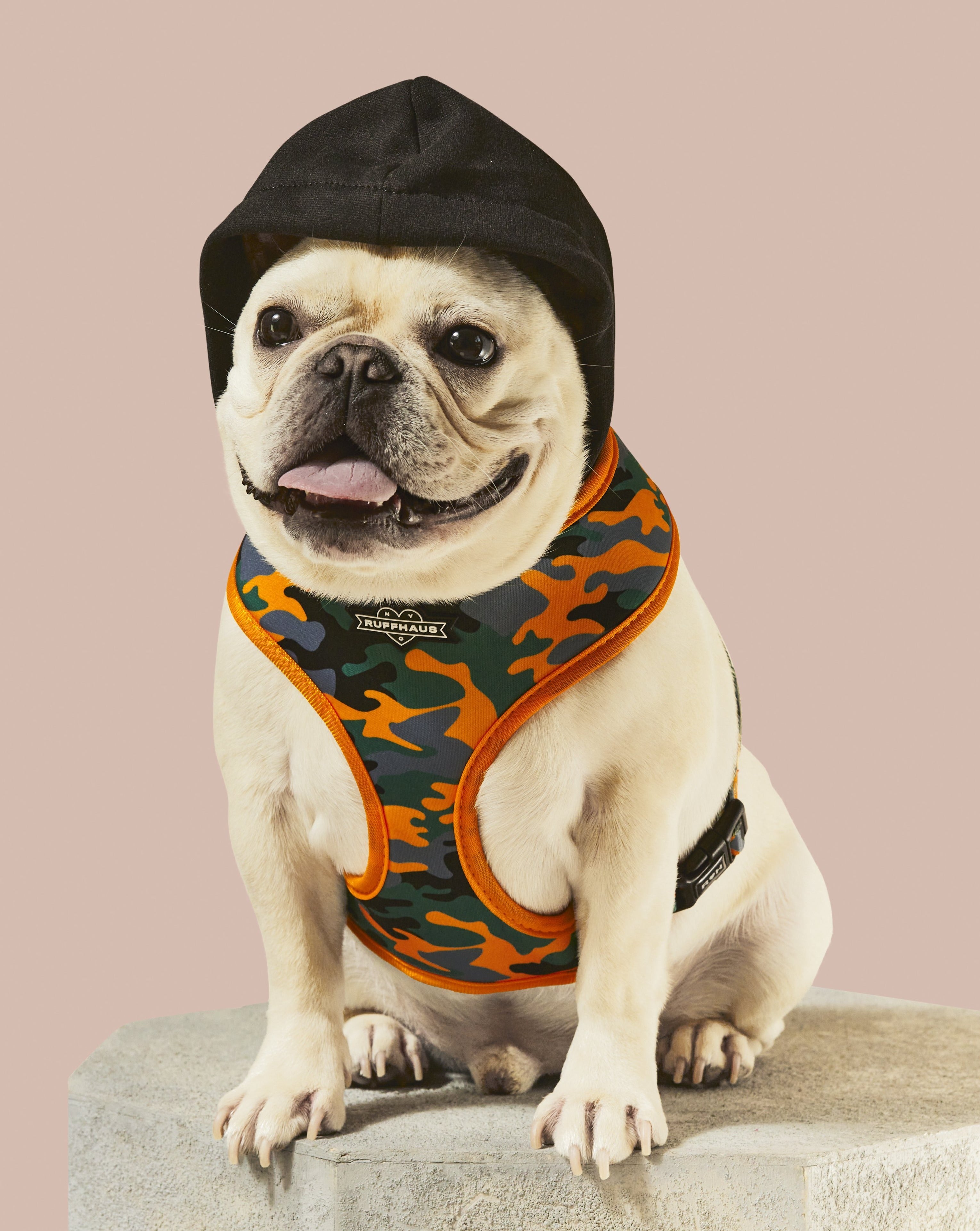 Camo QT Orange Hoodie Harness