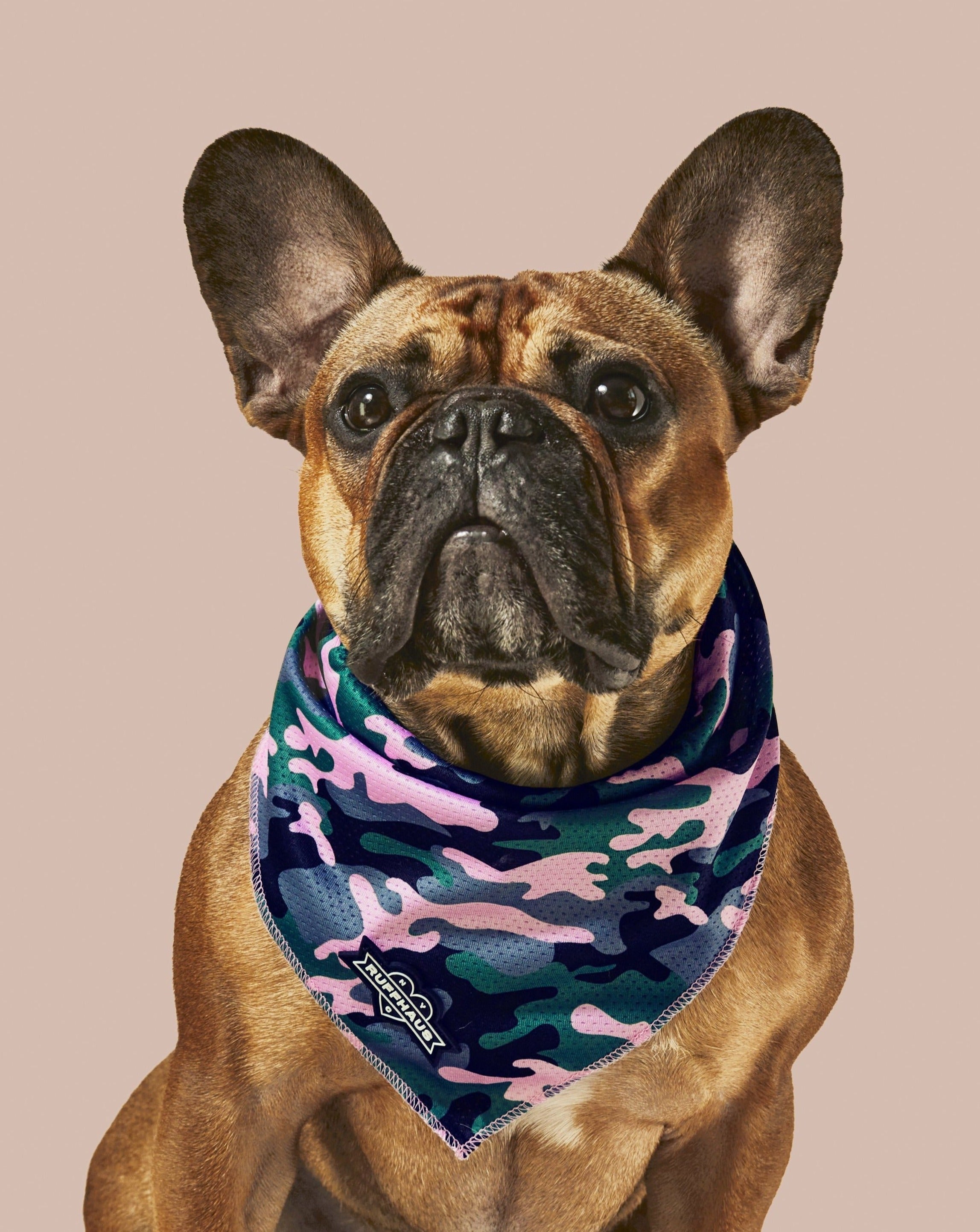 Camo QT Pink Cooling Bandana