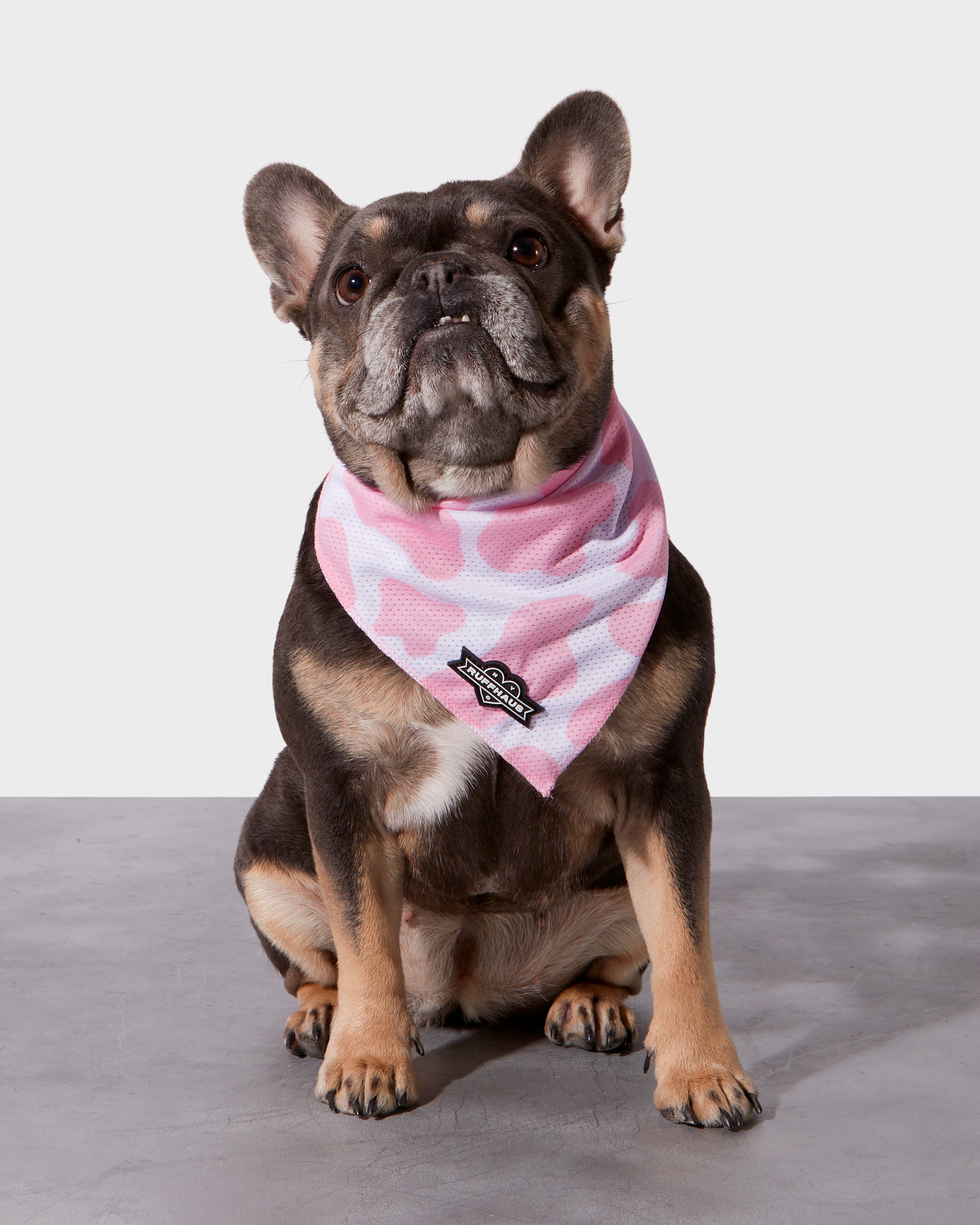 Pink Moo'd Cooling Bandana