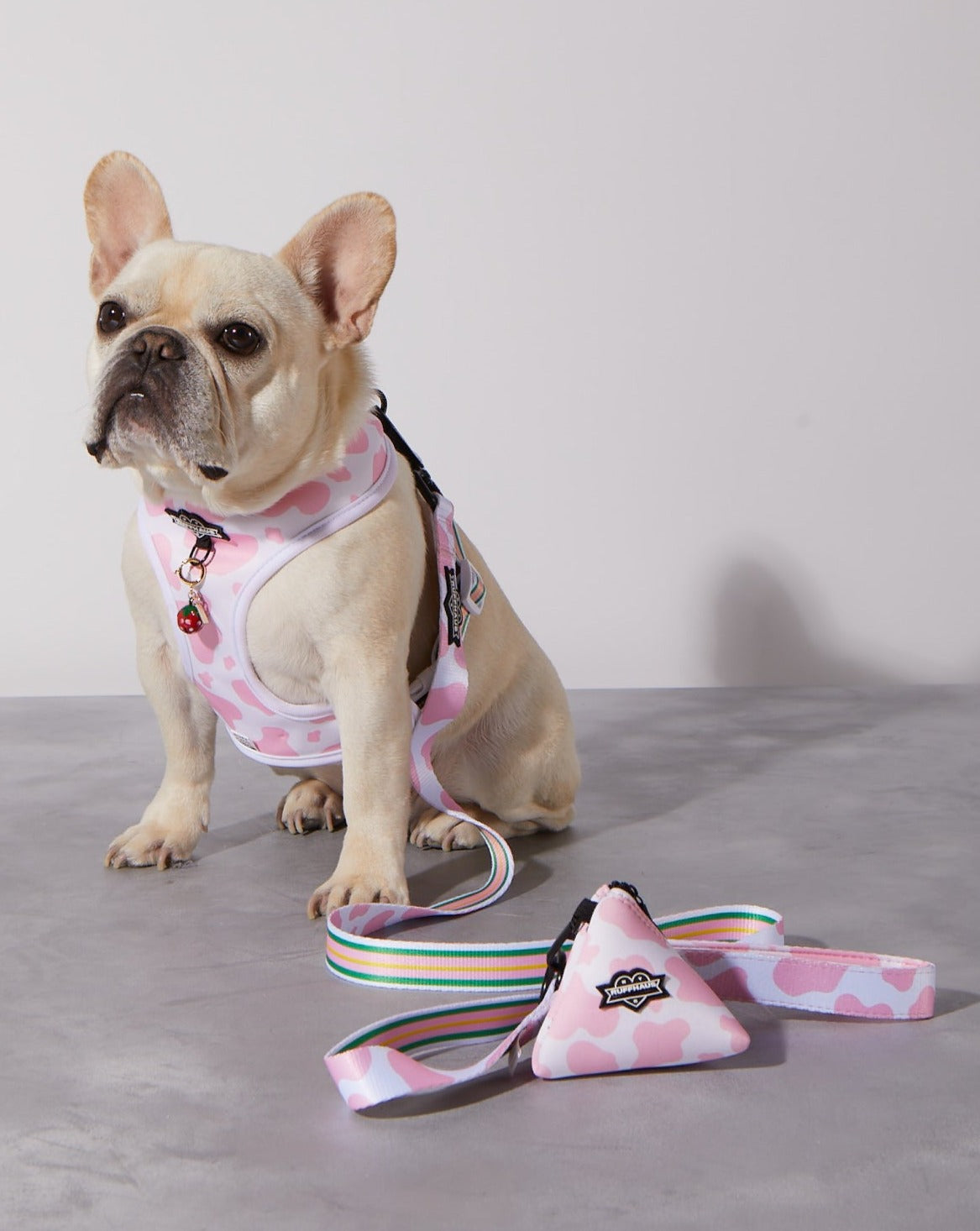 Pink Moo'd Dog Leash