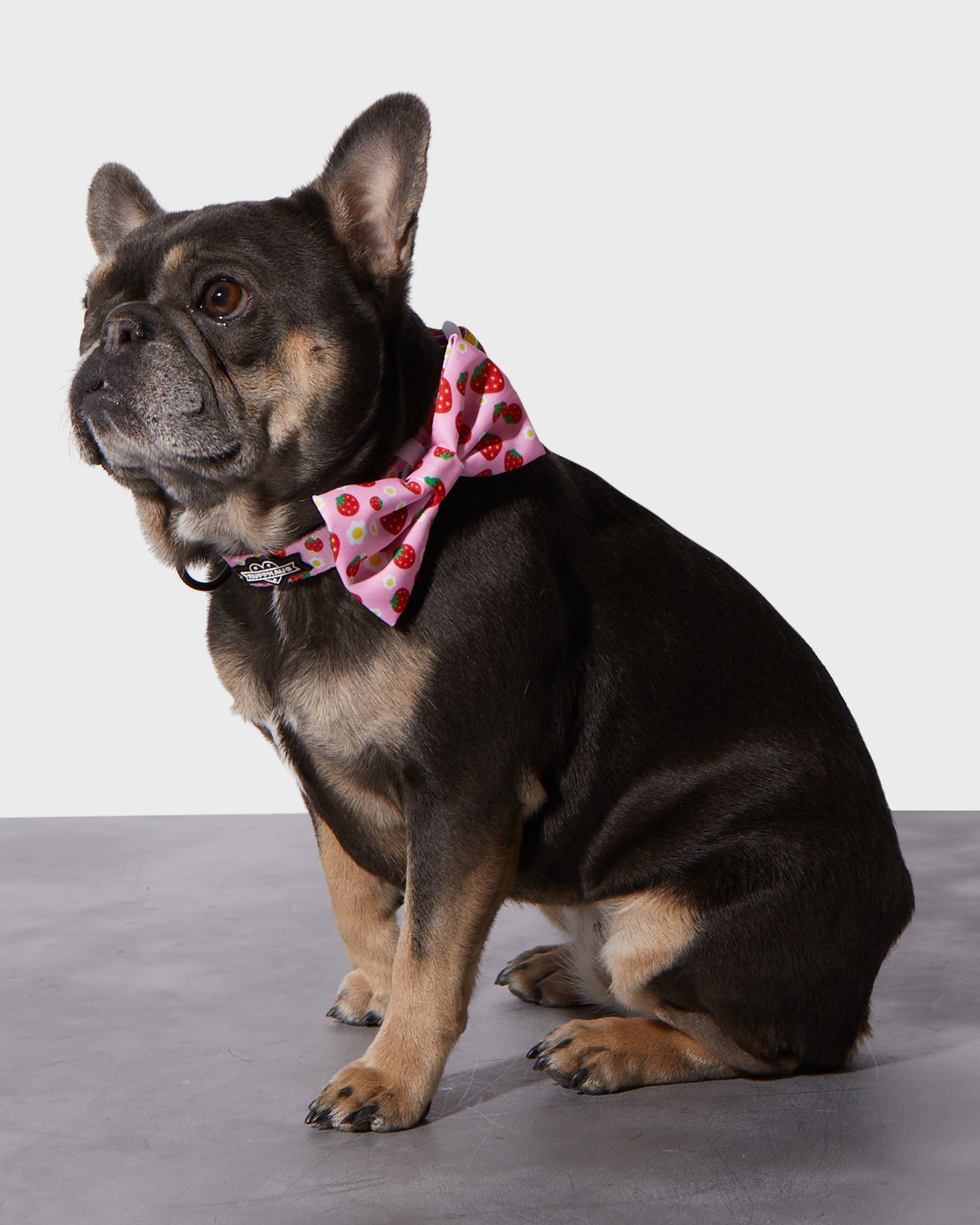 Strawberry Collar & Bowtie