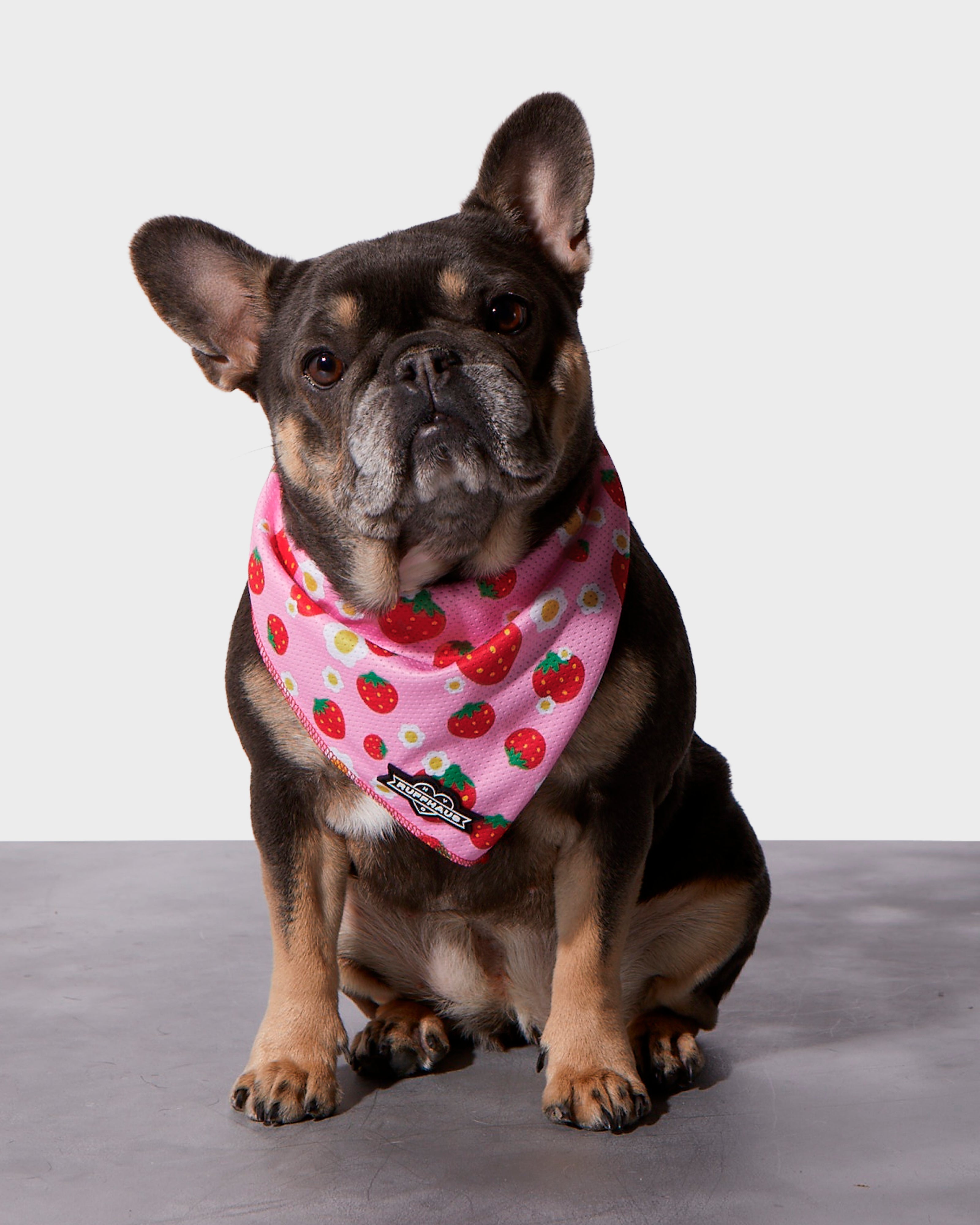 Strawberry Cooling Bandana