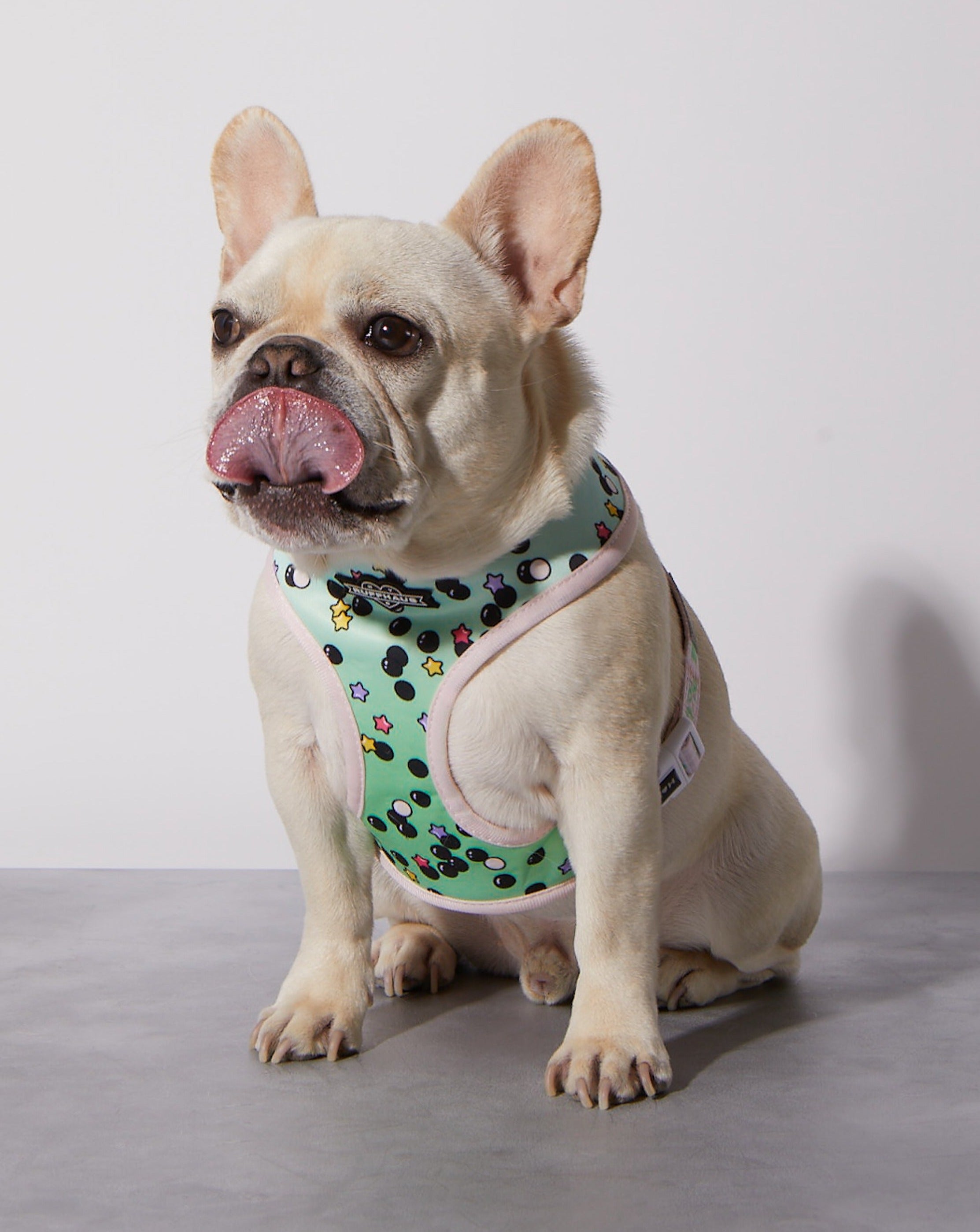 Matcha Boba Reversible Harness