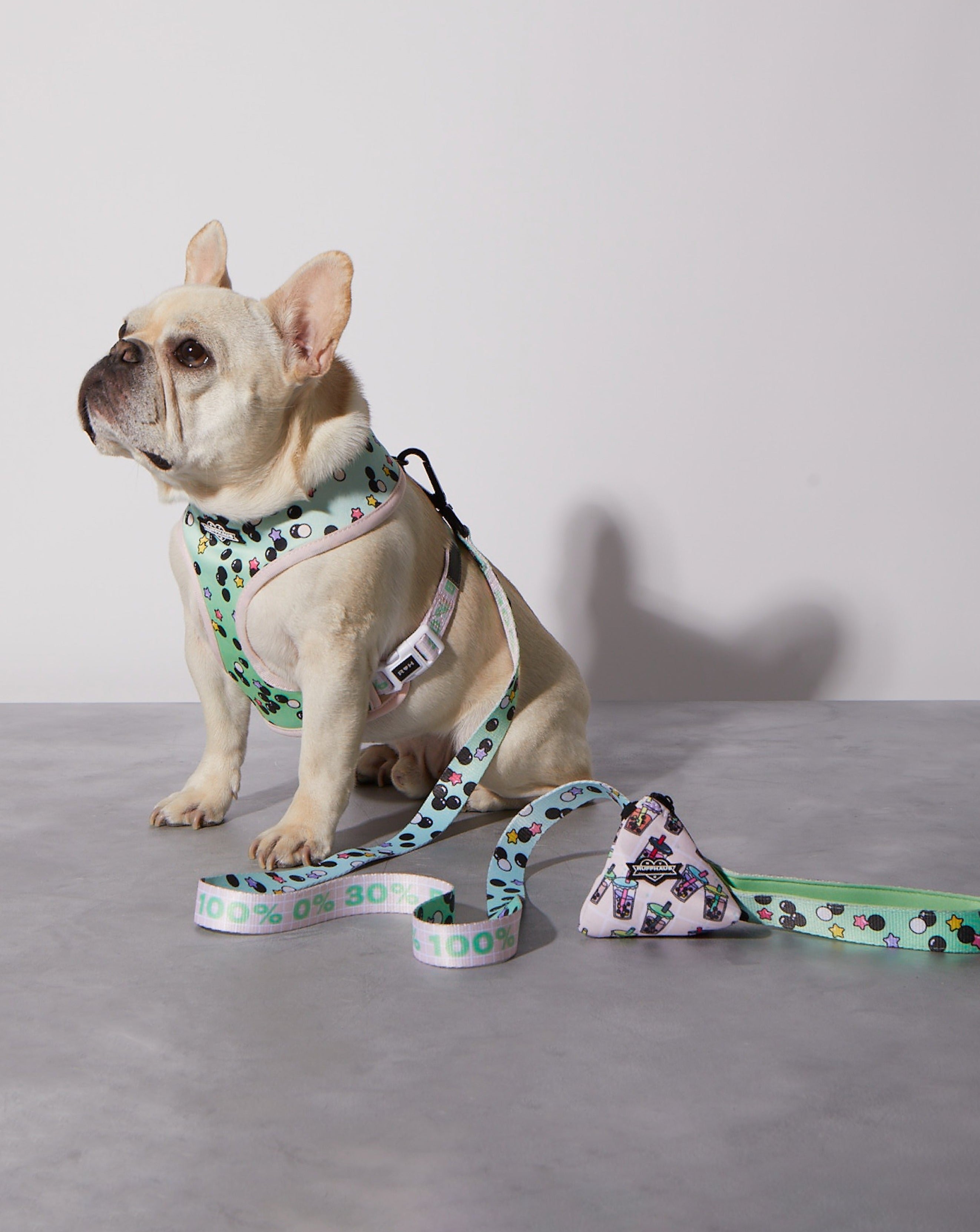 Matcha Boba Dog Leash