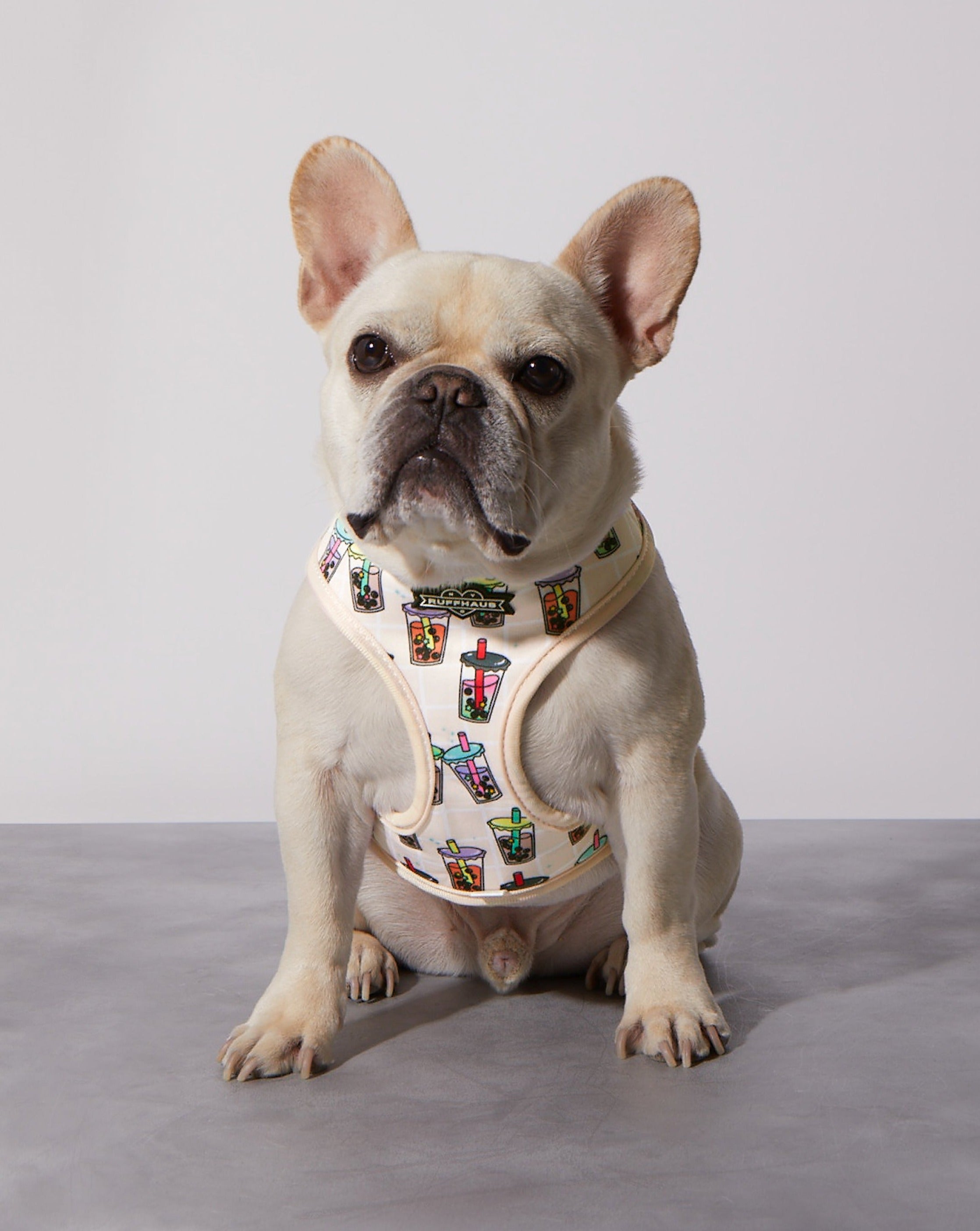 Matcha Boba Reversible Harness