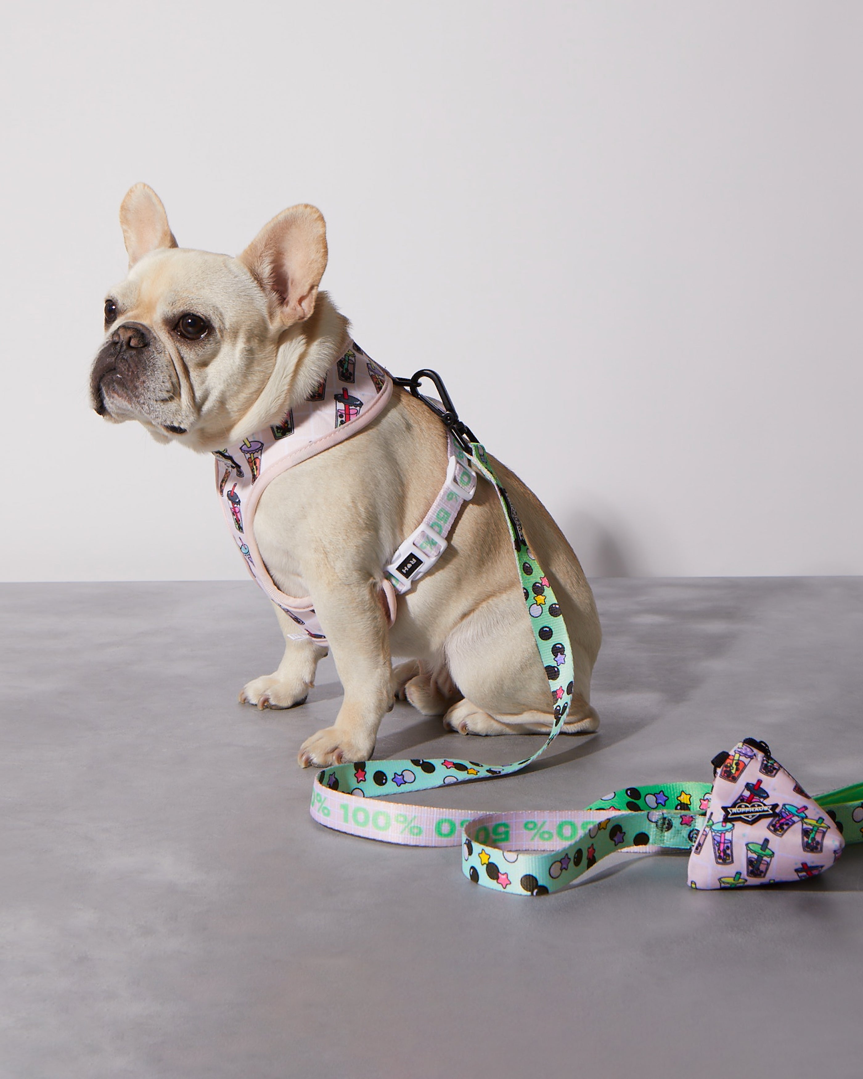 Matcha Boba Reversible Harness