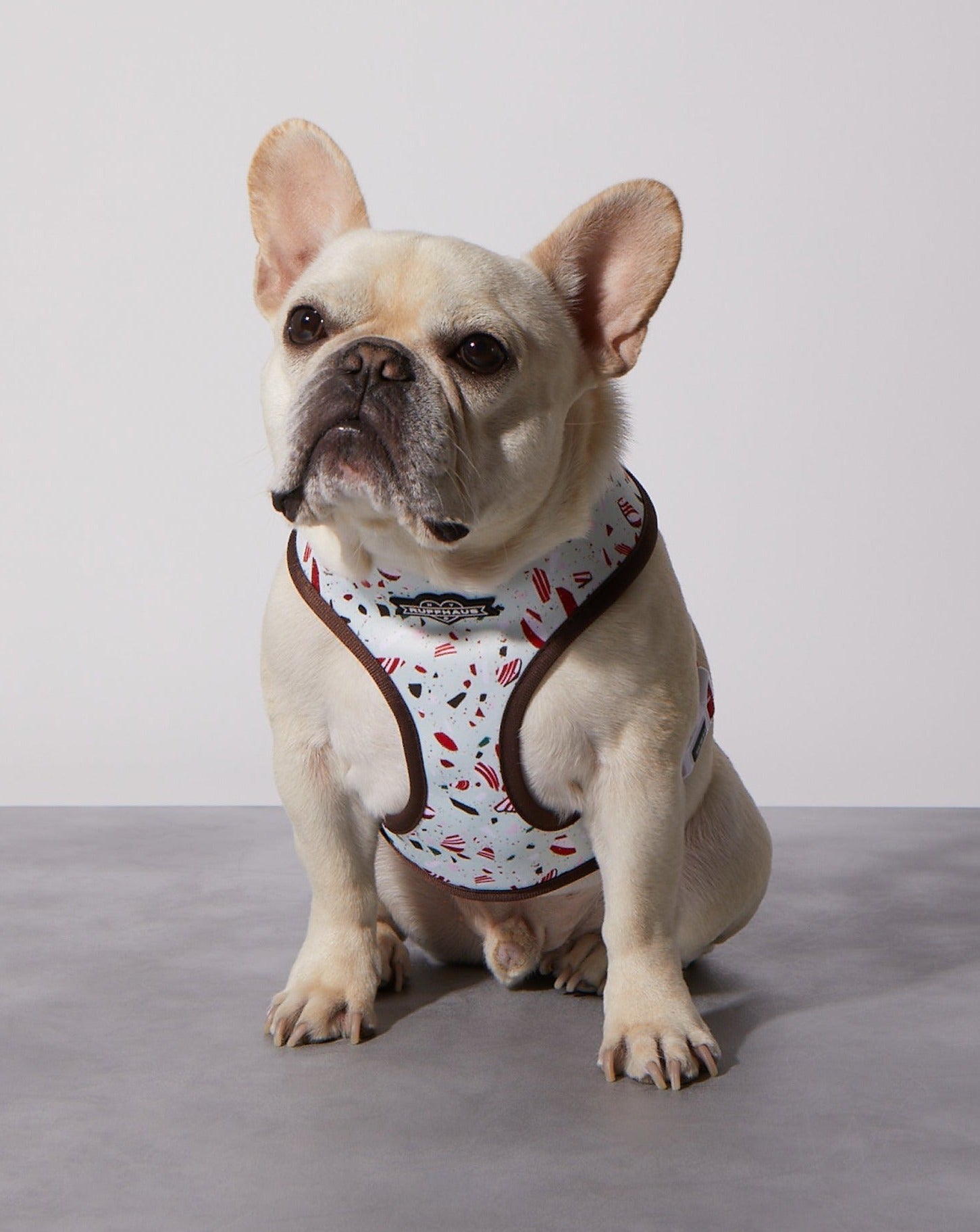 Peppermint Bark Reversible Harness