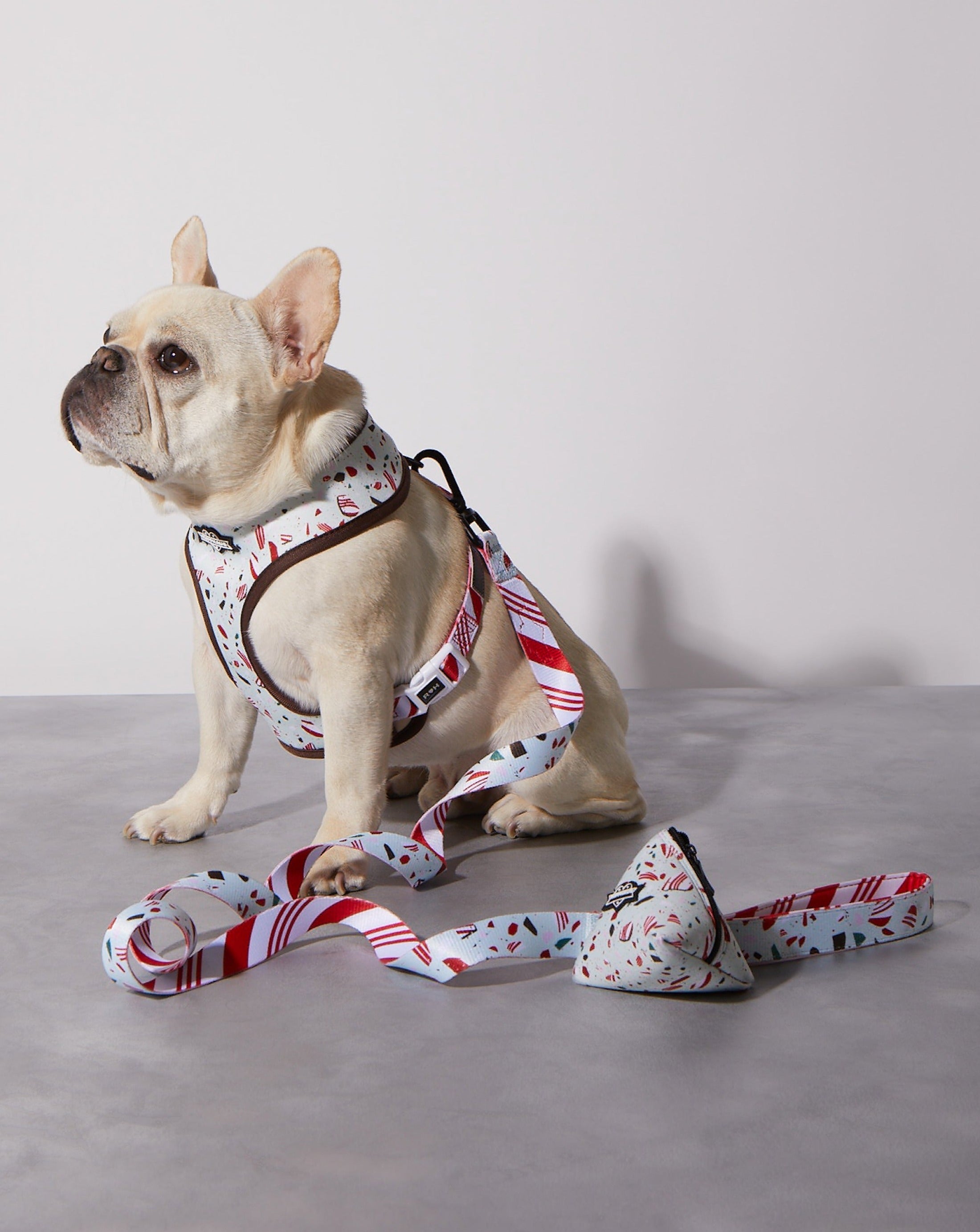 Peppermint Bark Dog Leash