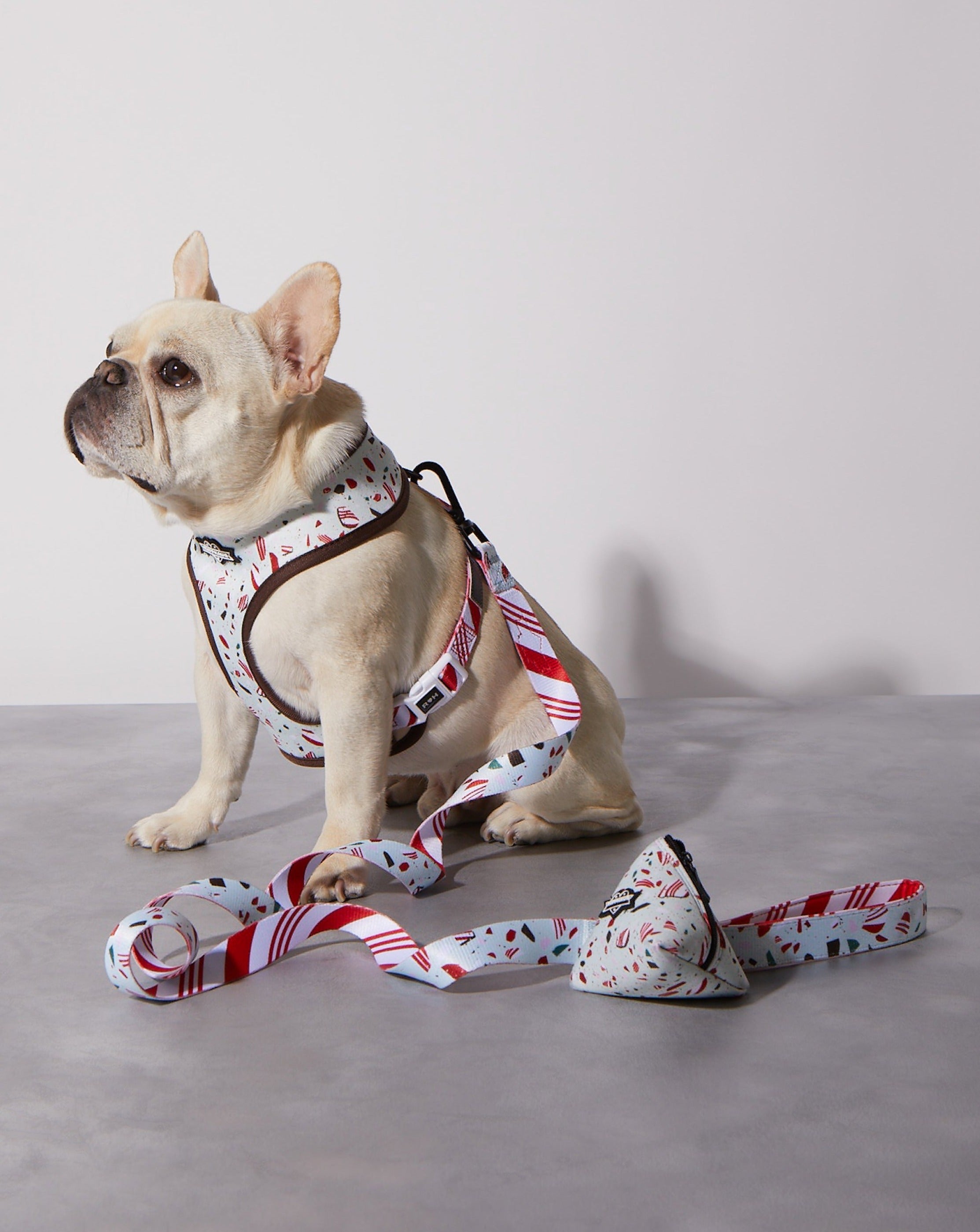 Peppermint Bark Reversible Harness