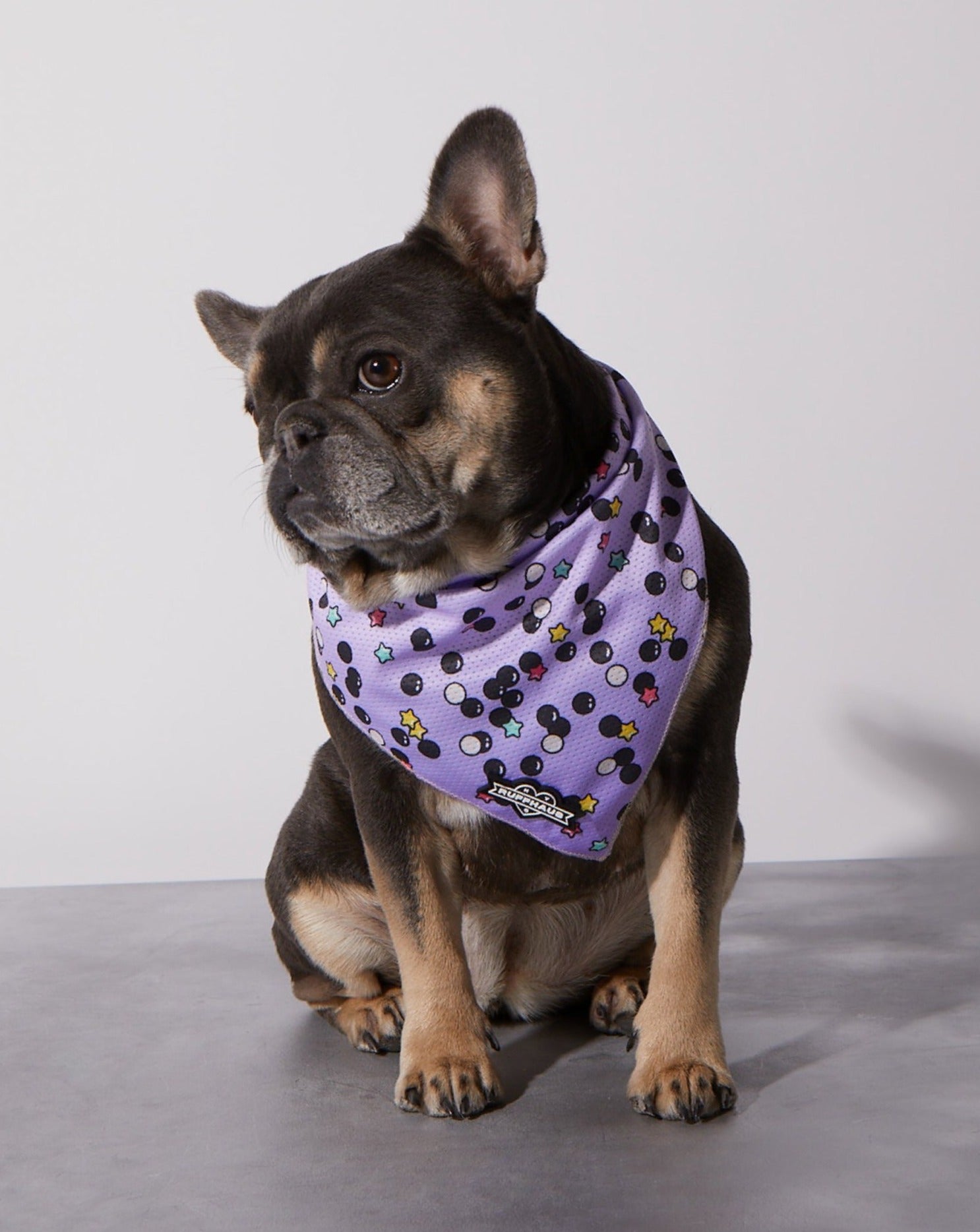 Taro Boba Cooling Bandana