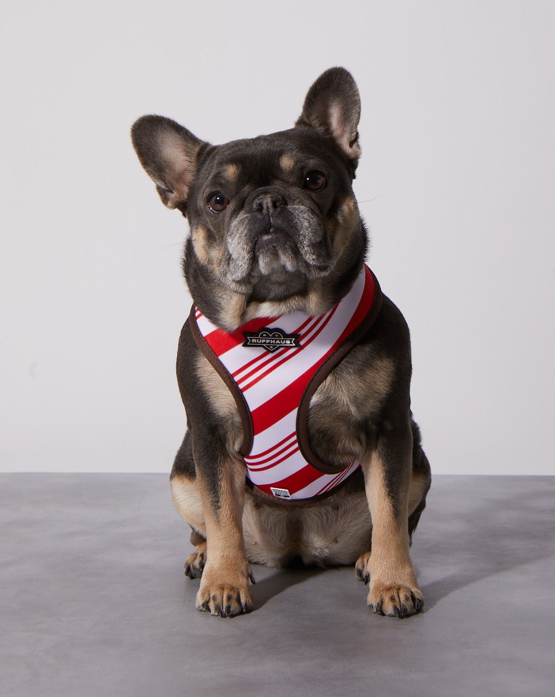 Peppermint Bark Reversible Harness