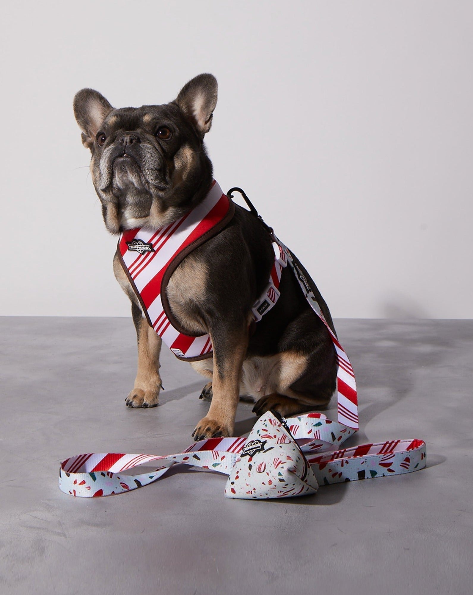 Peppermint Bark Reversible Harness