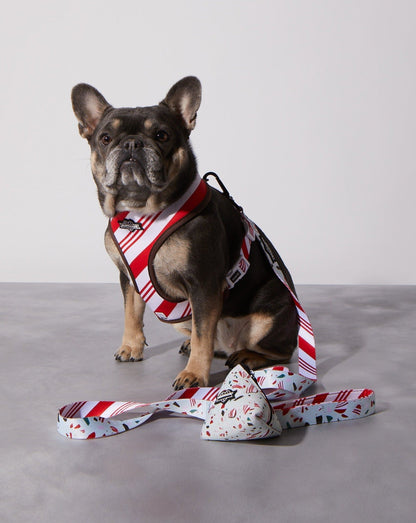 Peppermint Bark Poop Bag Holder