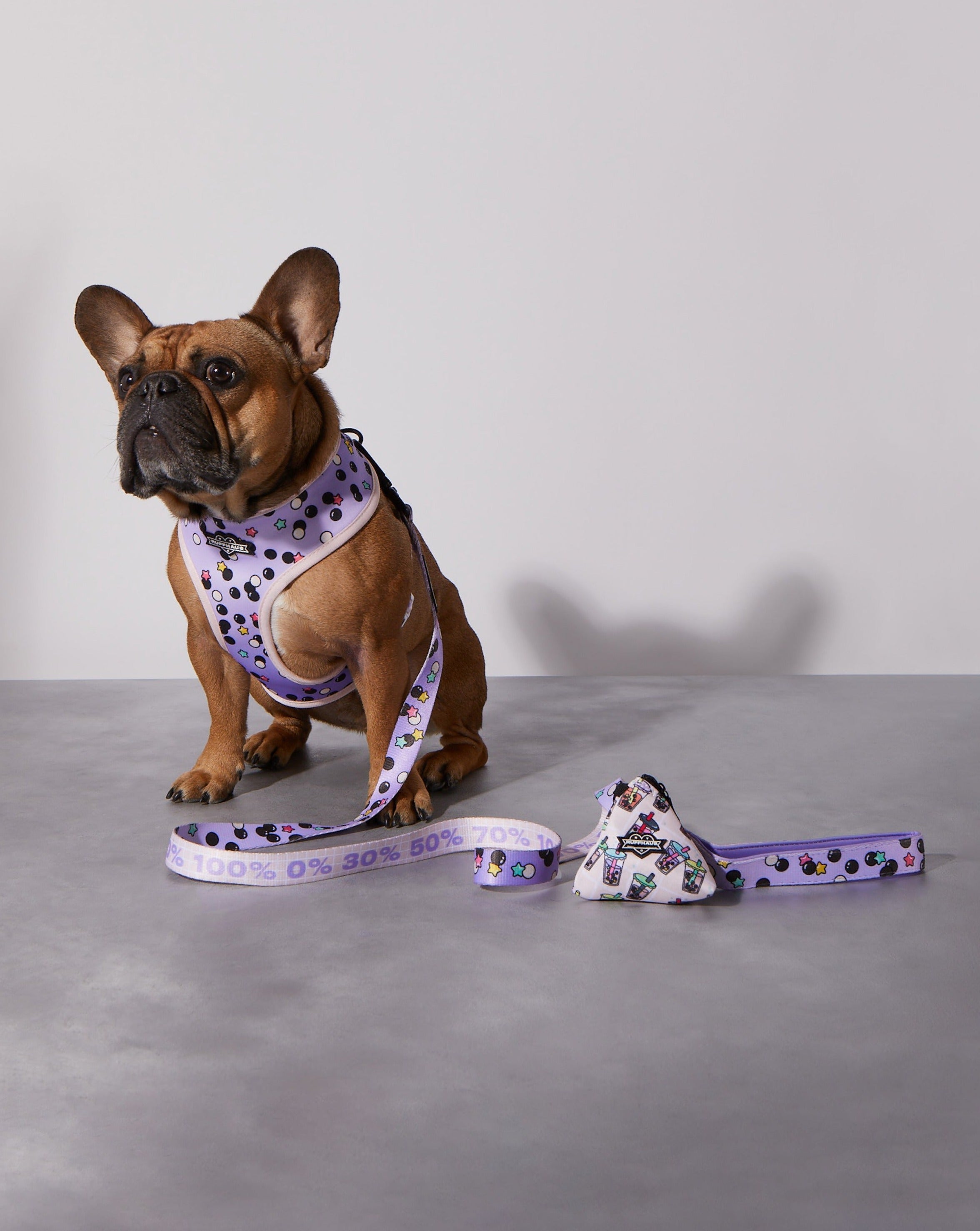 Taro Boba Dog Leash