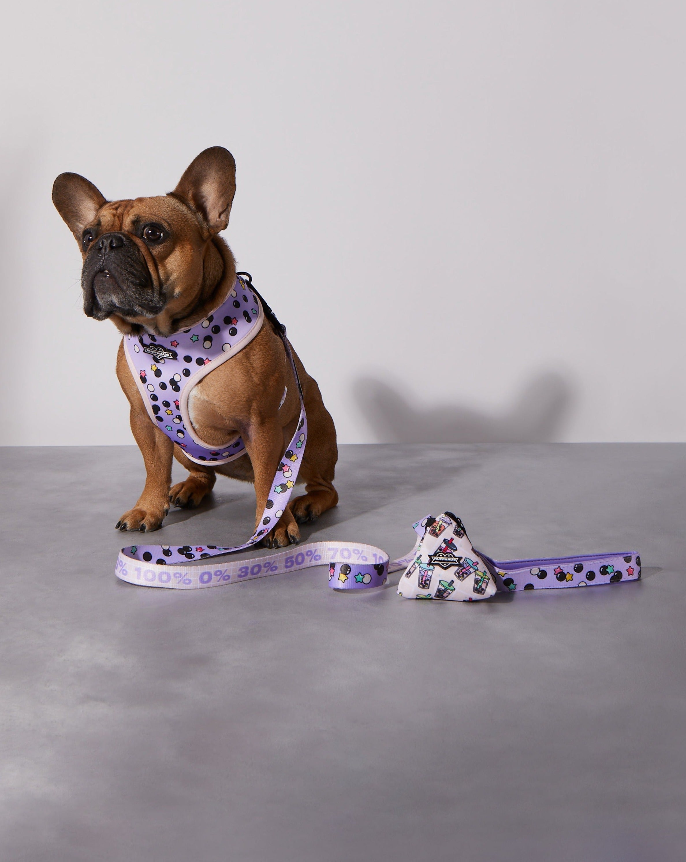 Taro Boba Reversible Harness