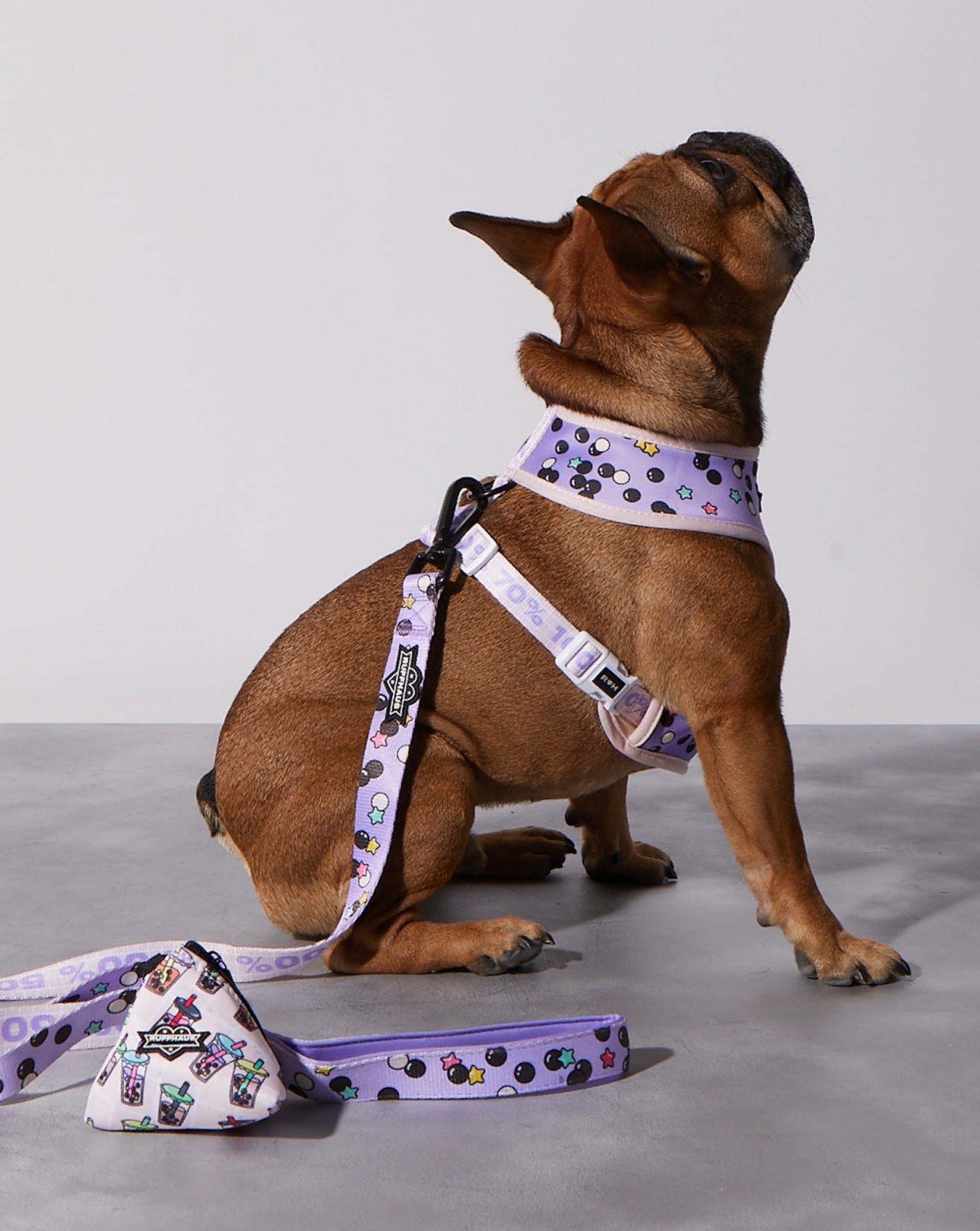 Taro Boba Reversible Harness