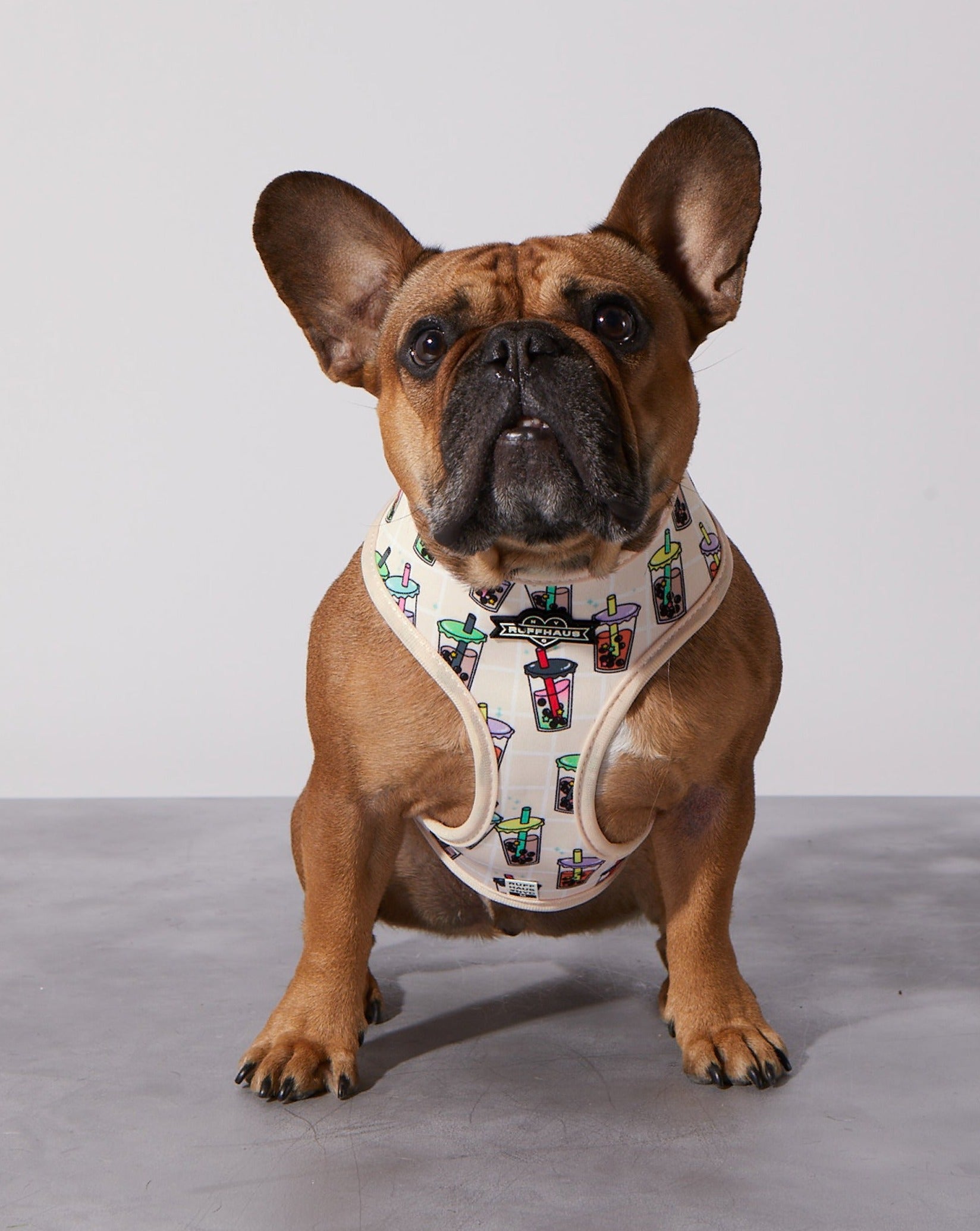 Taro Boba Reversible Harness