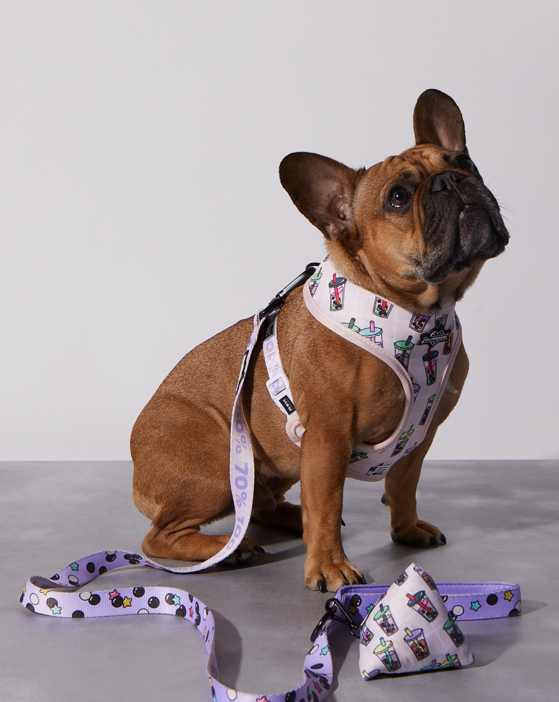 Taro Boba Reversible Harness