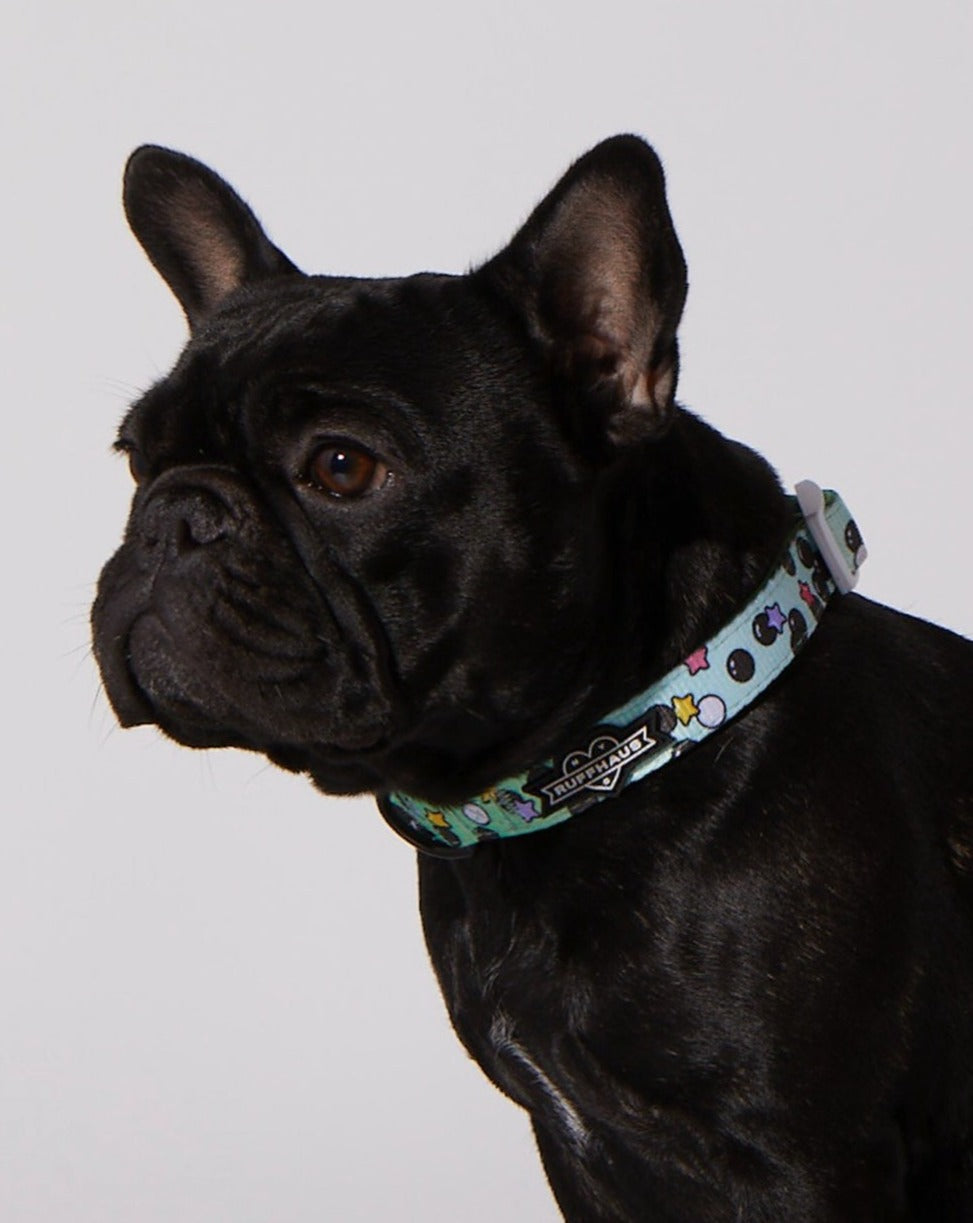 Matcha Boba Dog Collar & Bowtie