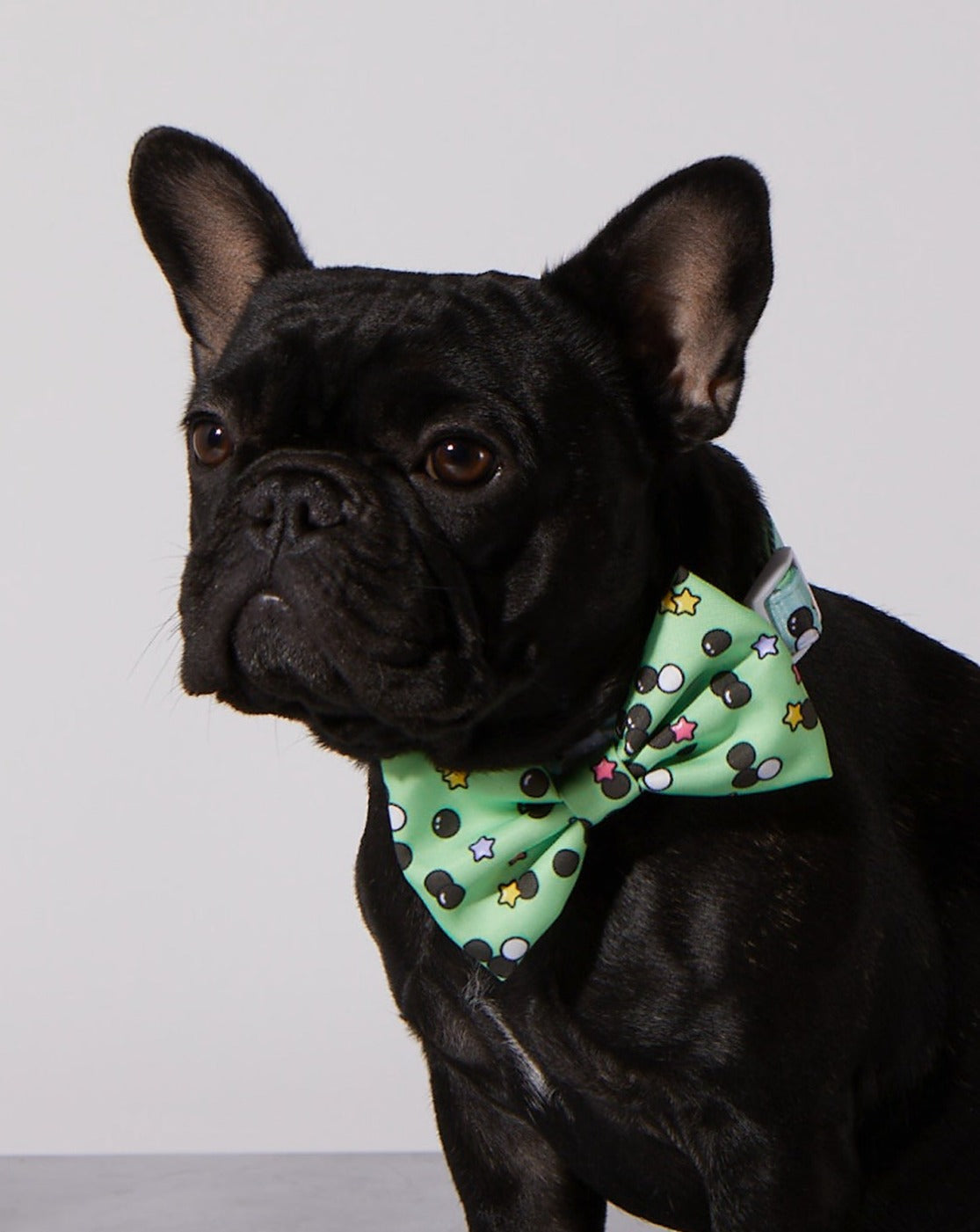 Matcha Boba Dog Collar & Bowtie