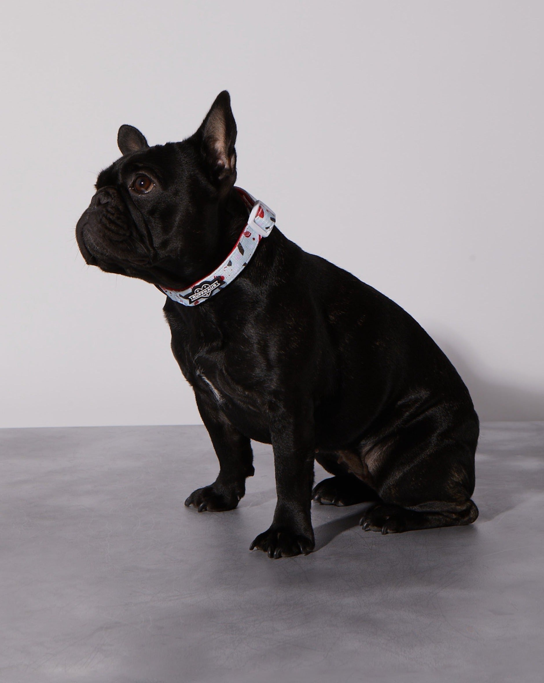 Peppermint Bark Dog Collar & Bowtie