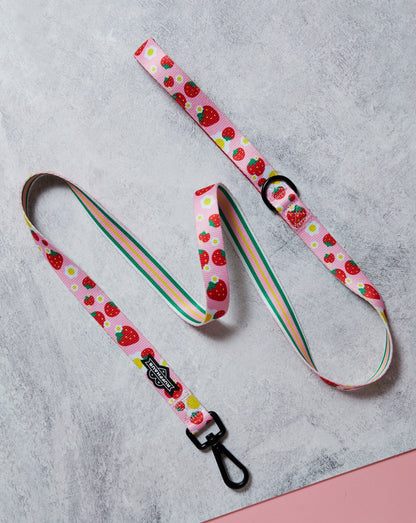 Strawberry Dog Leash