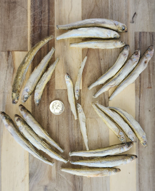 Freeze-Dried Smelt