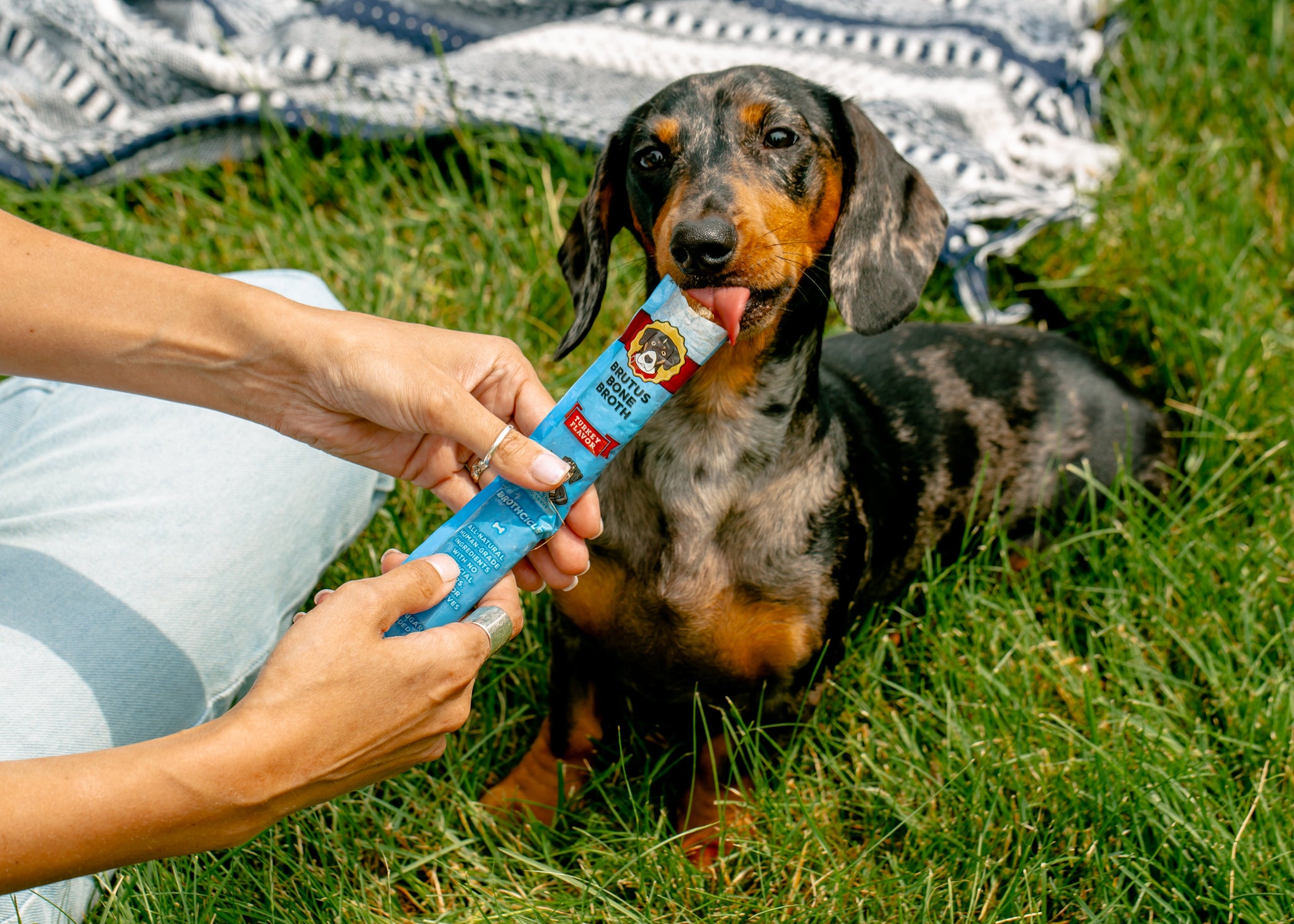 Brutus Brothcicles - 6 Pack