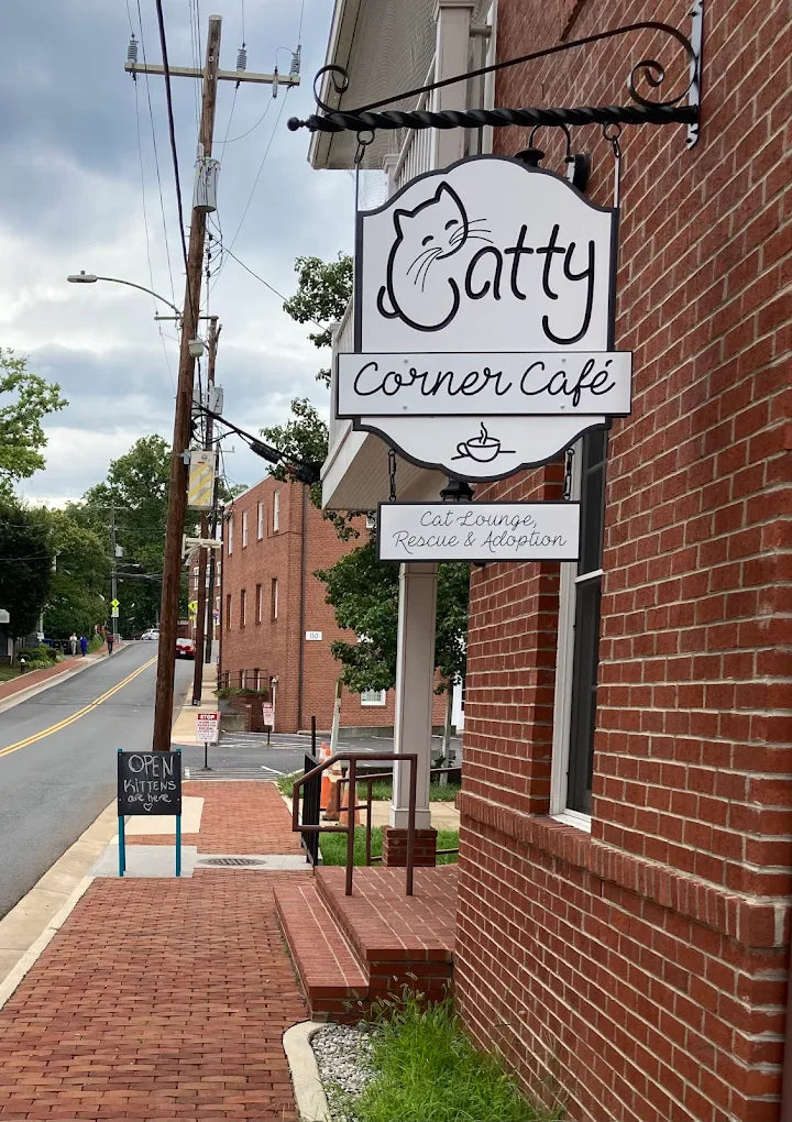 2024-08-12.webp__PID:54f4bf0e-bd8e-4bb7-995a-698b560eaaae