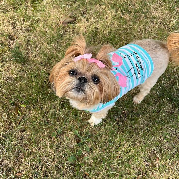 Parisian Pet 'Flamingos' Dog Shirt – Lightweight & Breathable Summer Outfit for Small Dogs & Cats, Light Blue and White Stripes