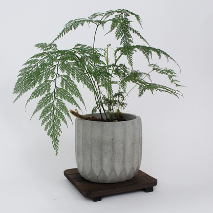 Fluted Textured Planter