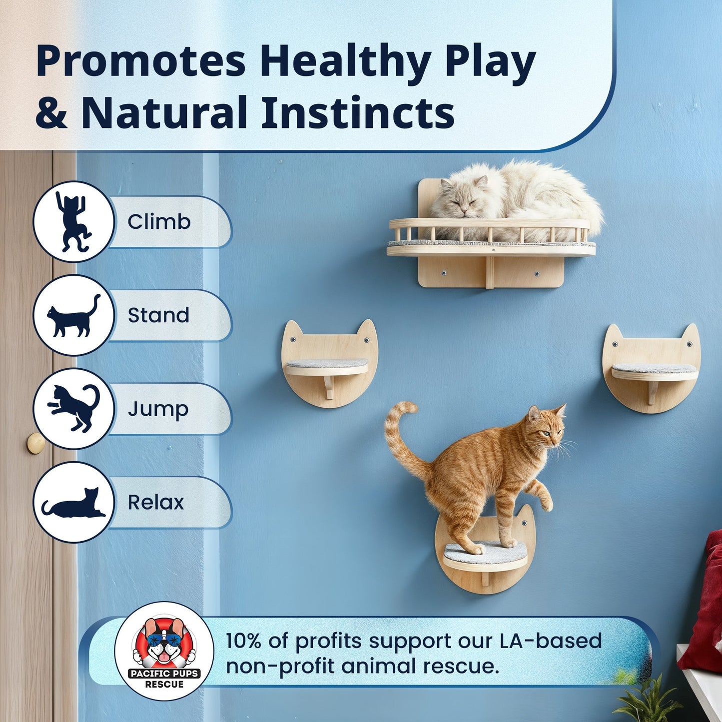 Cat Wall Steps & Shelf