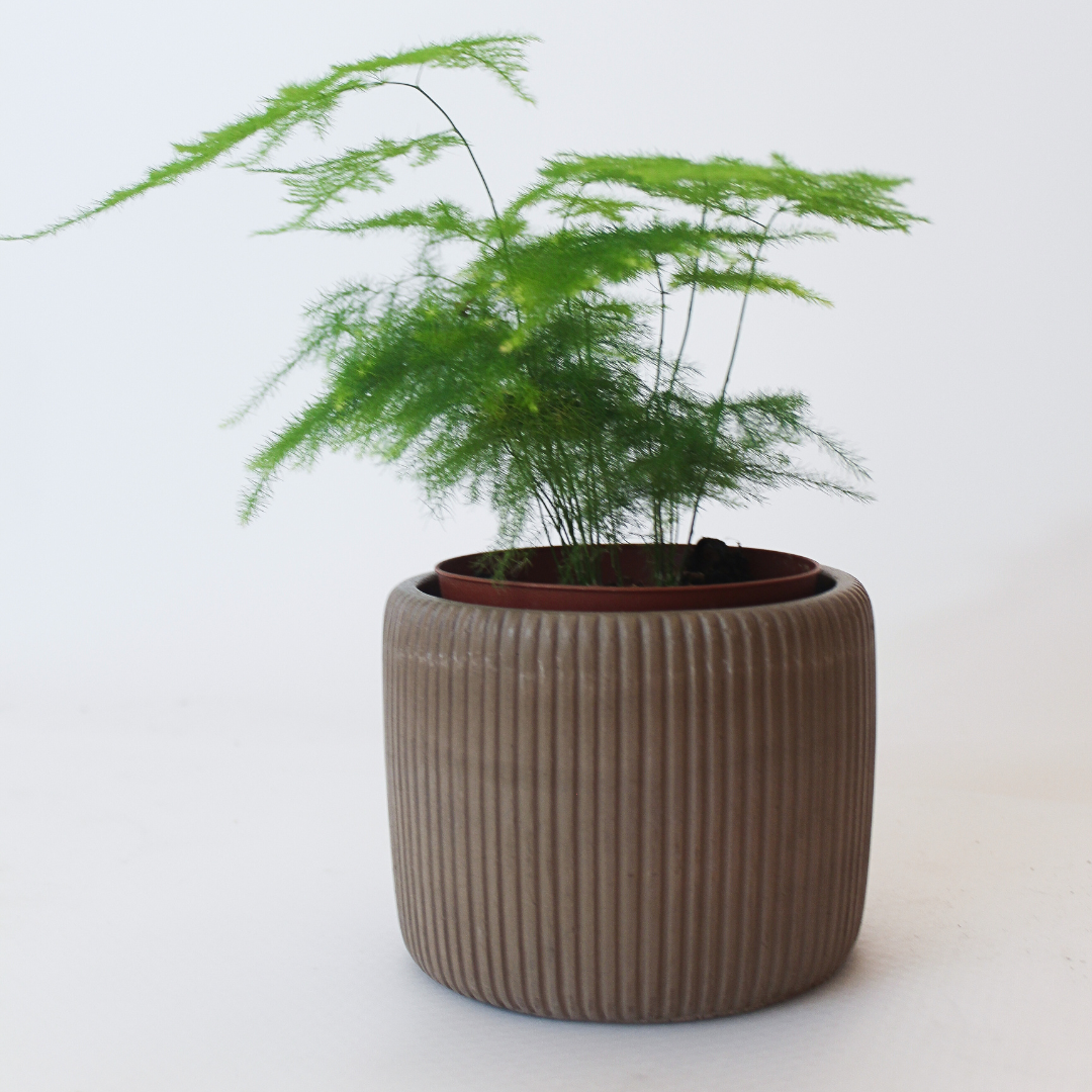 Ribbed Round Planter