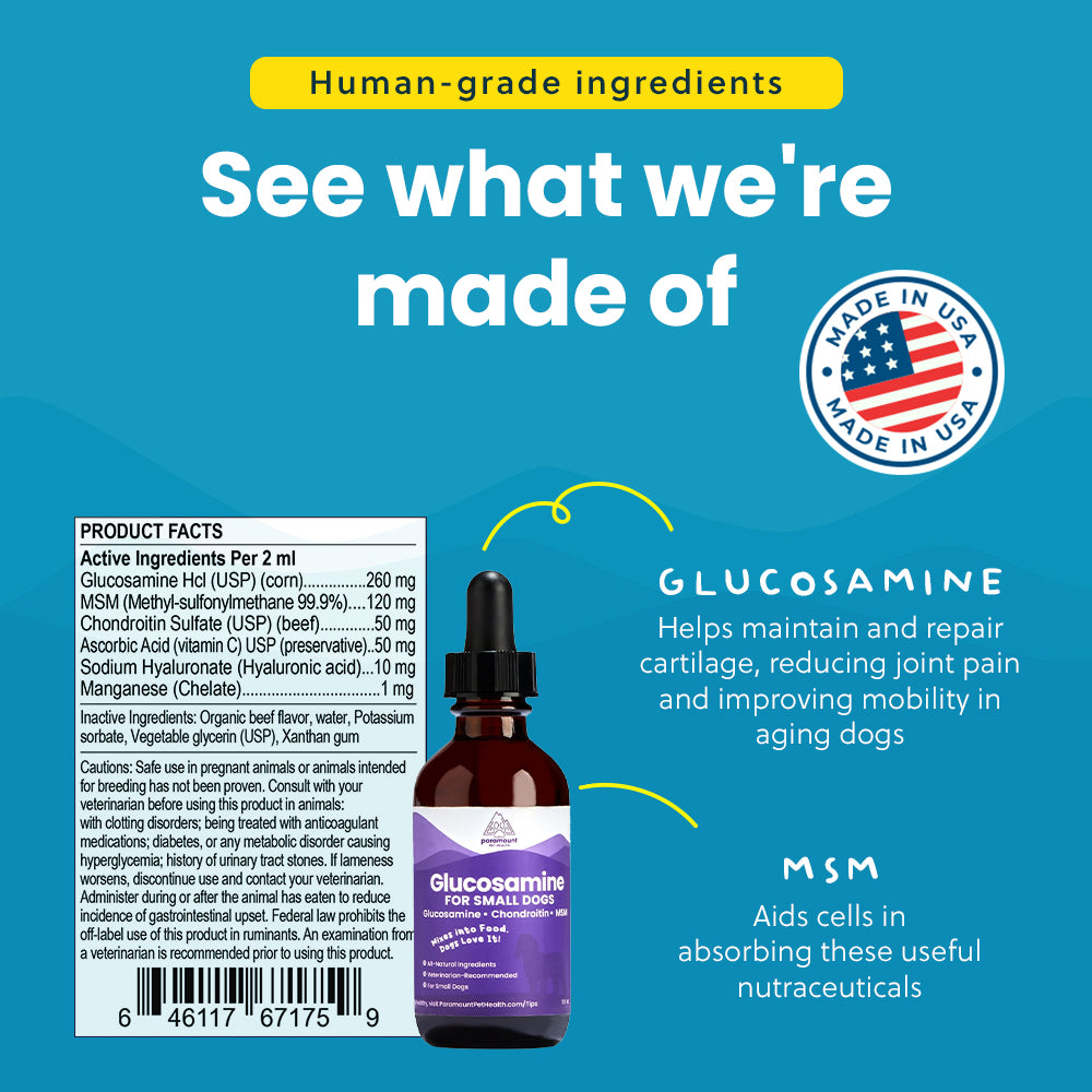 Liquid Glucosamine For Small Dogs