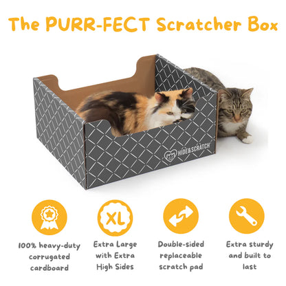 Hide & Scratch Extra-Large Cat Scratcher Box Value Pack (Box + 3 Scratchers) (Case of 7)