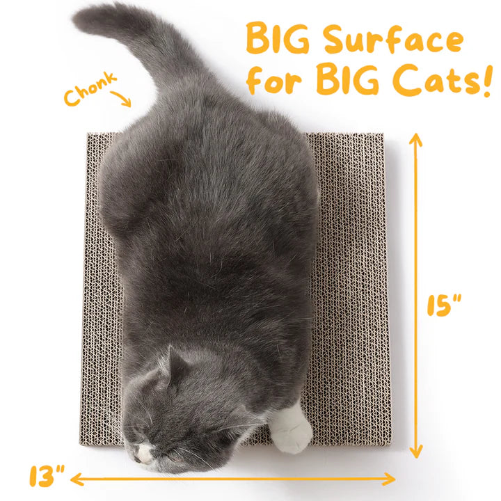 Scratch Pad Refills for Hide & Scratch Box (or use on their own)(Case of 14)